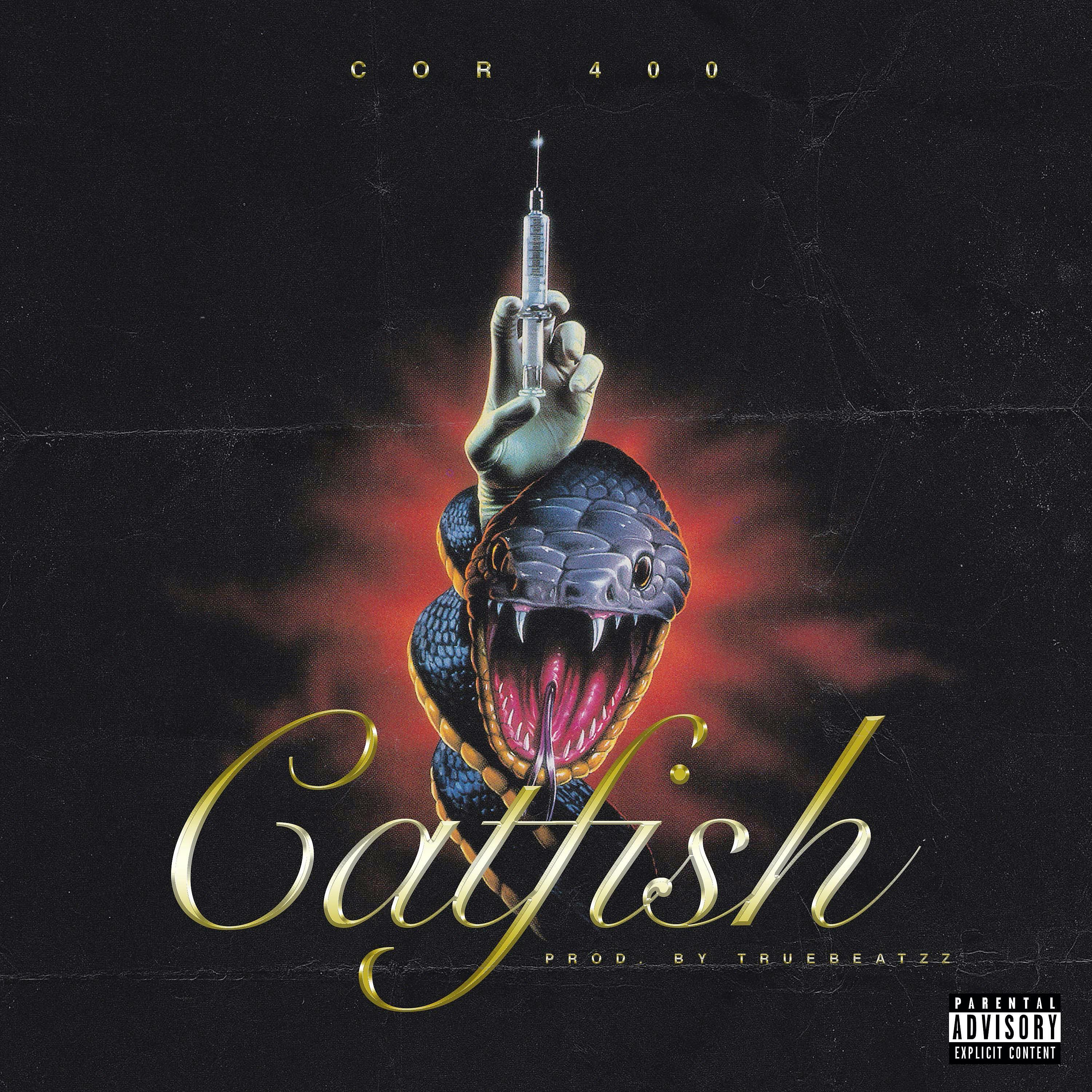 Постер альбома CatFish