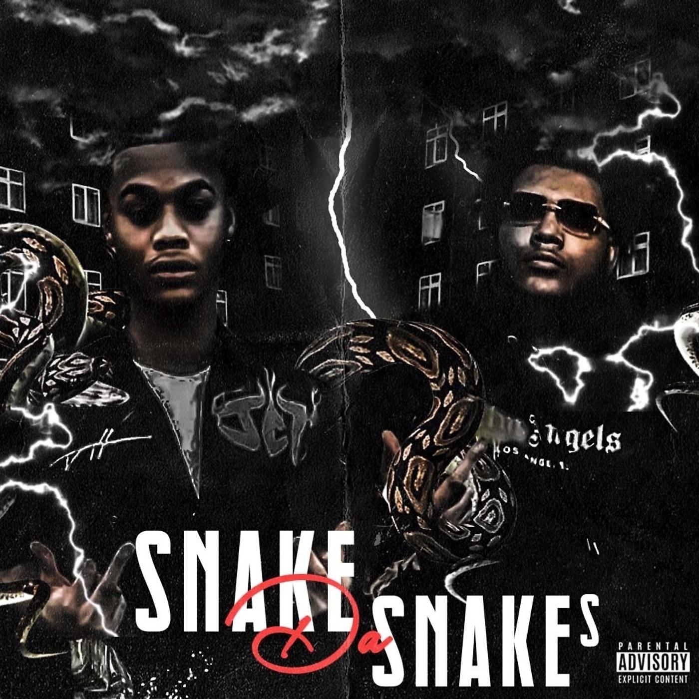 Постер альбома Snake da Snakes