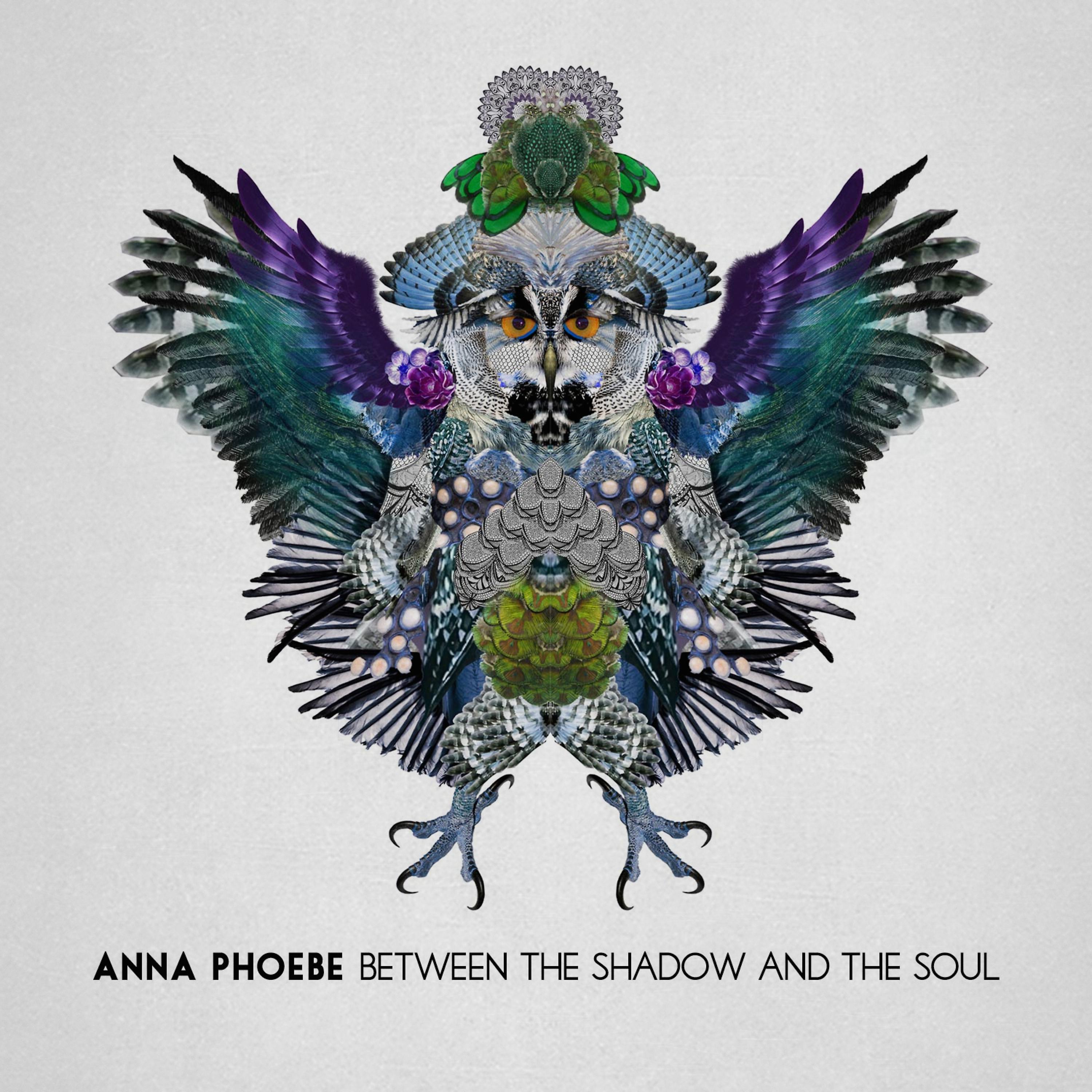 Постер альбома Between the Shadow and the Soul (Deluxe Edition)