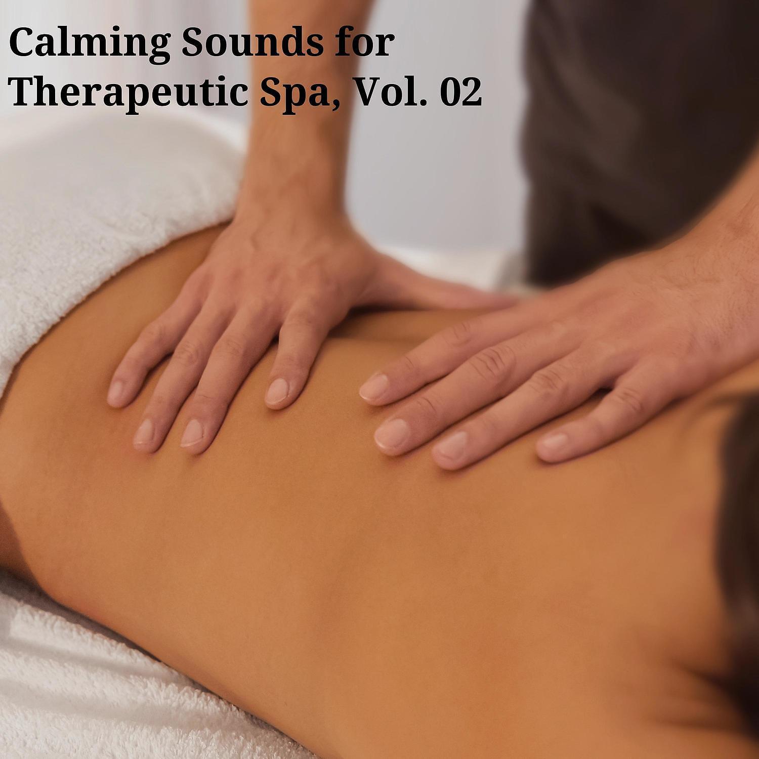 Постер альбома Calming Sounds for Therapeutic Spa, Vol. 02