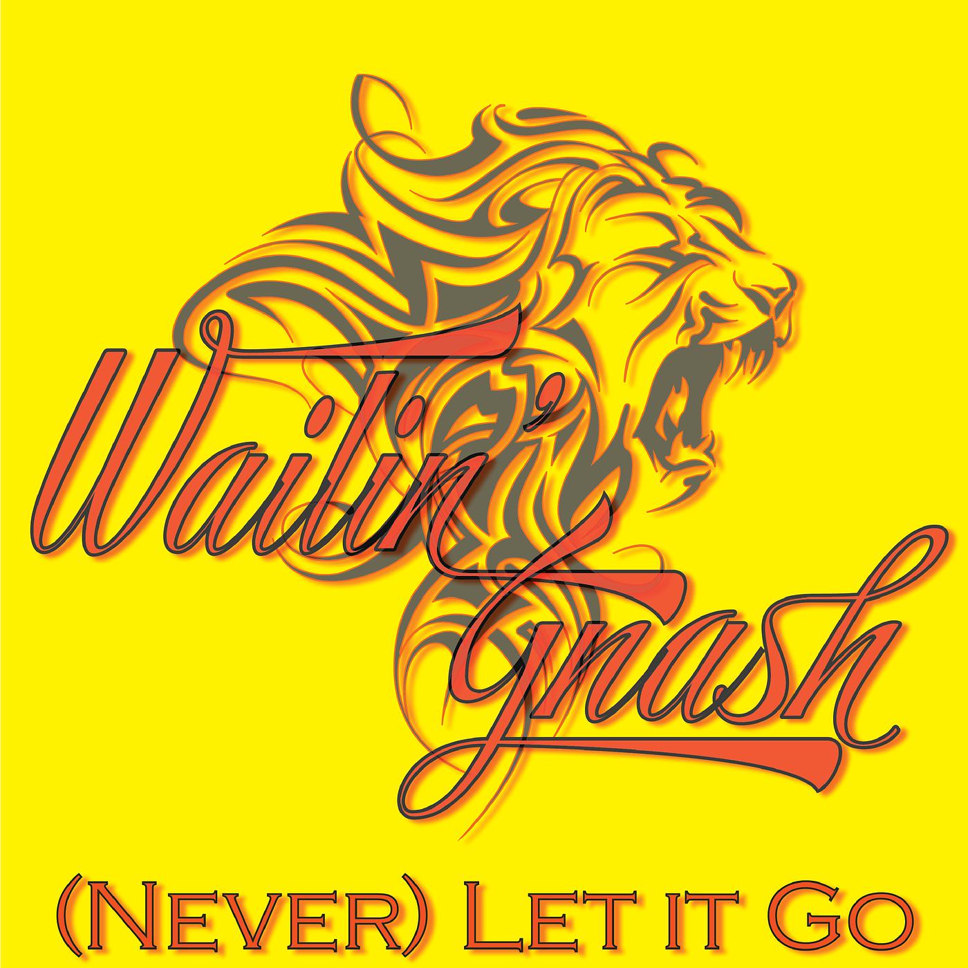 Постер альбома (Never) Let It Go