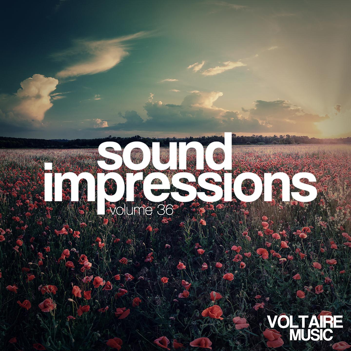 Постер альбома Sound Impressions, Vol. 36