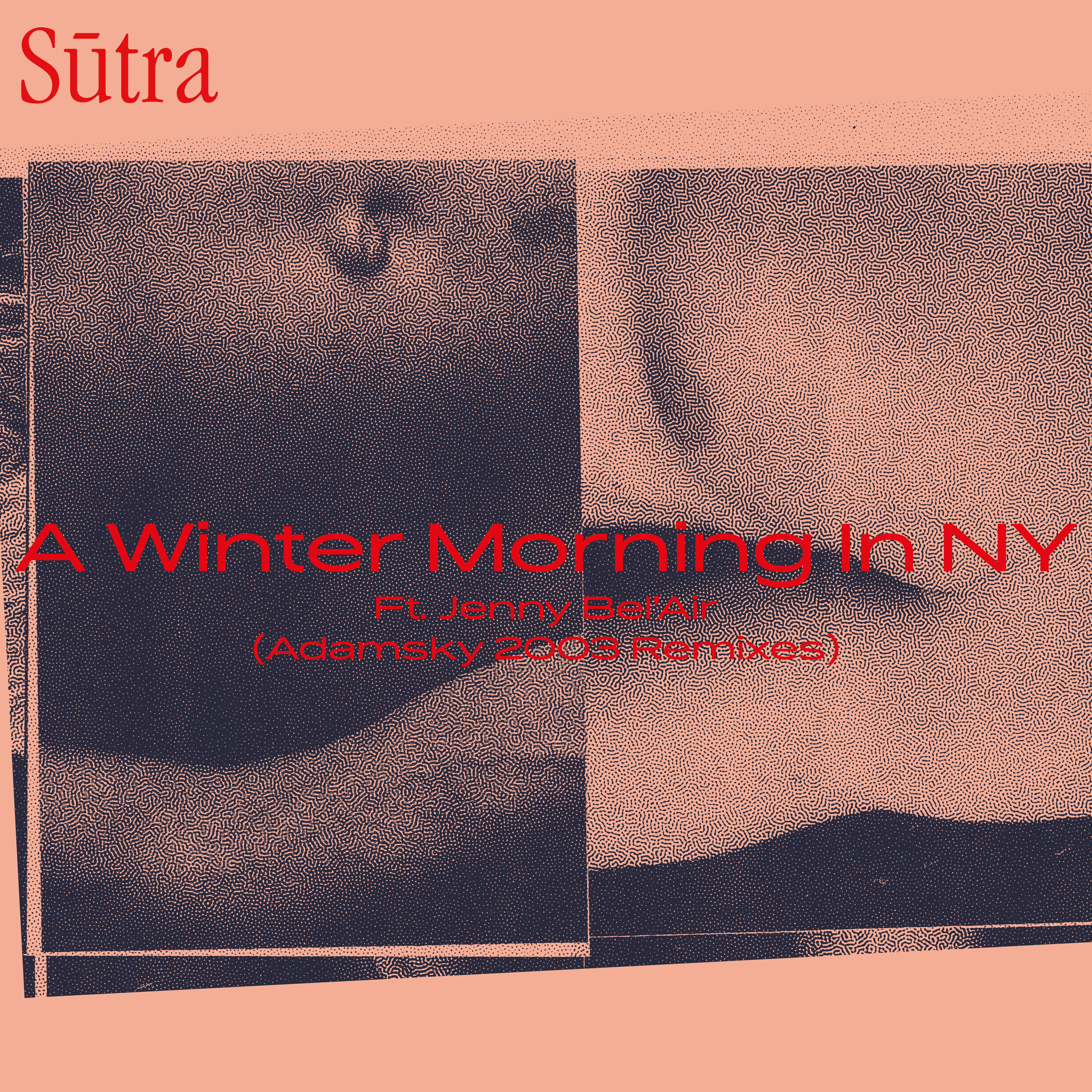 Постер альбома A Winter Morning In NY