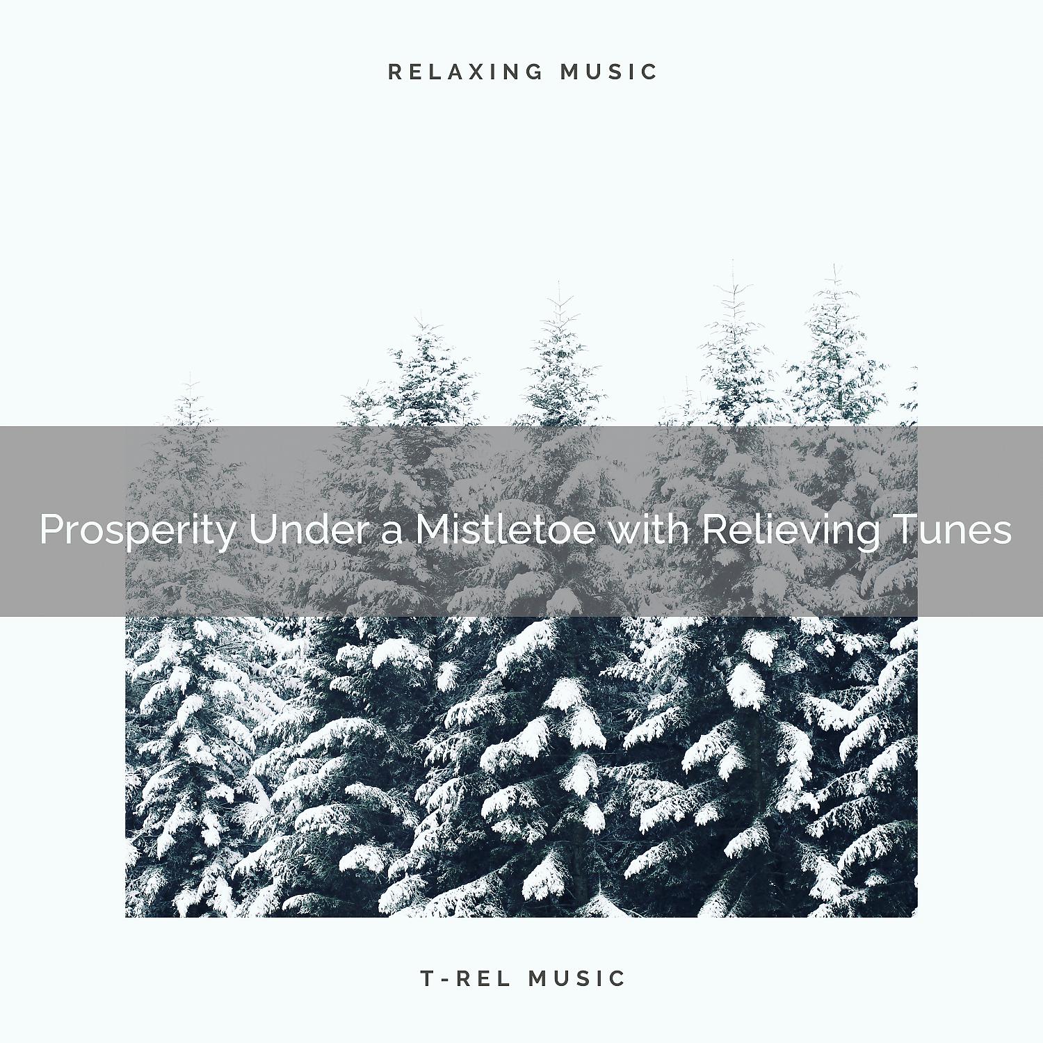 Постер альбома Prosperity Under a Mistletoe with Relieving Tunes
