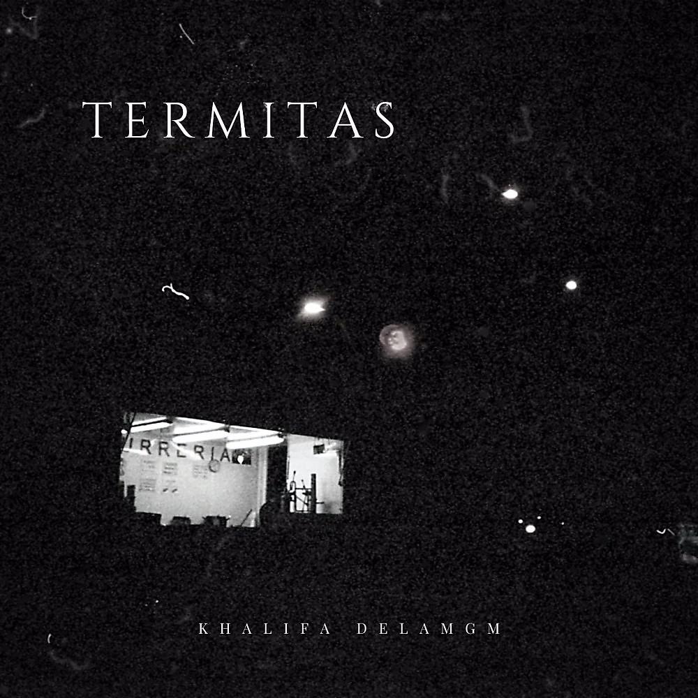 Постер альбома Termitas
