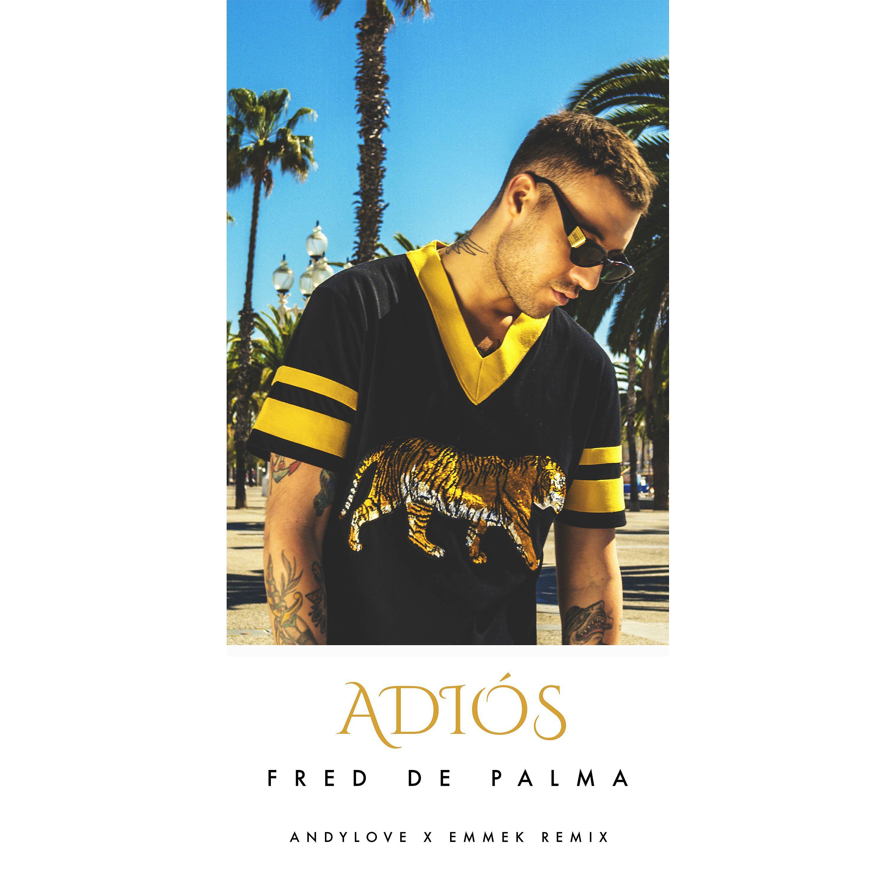 Постер альбома Adiós (ANDYLOVE x EMMEK Remix)
