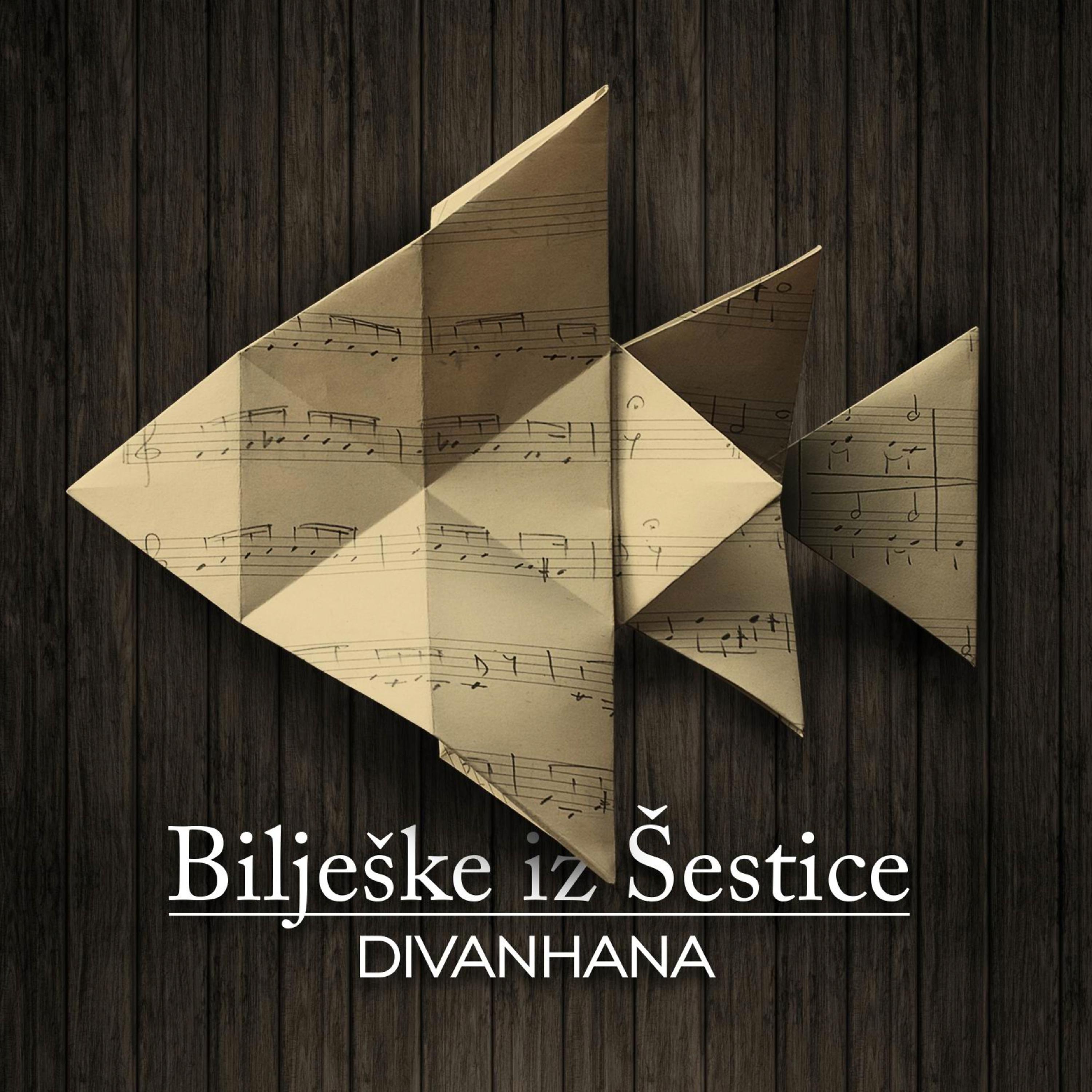 Постер альбома Bilješke Iz Šestice