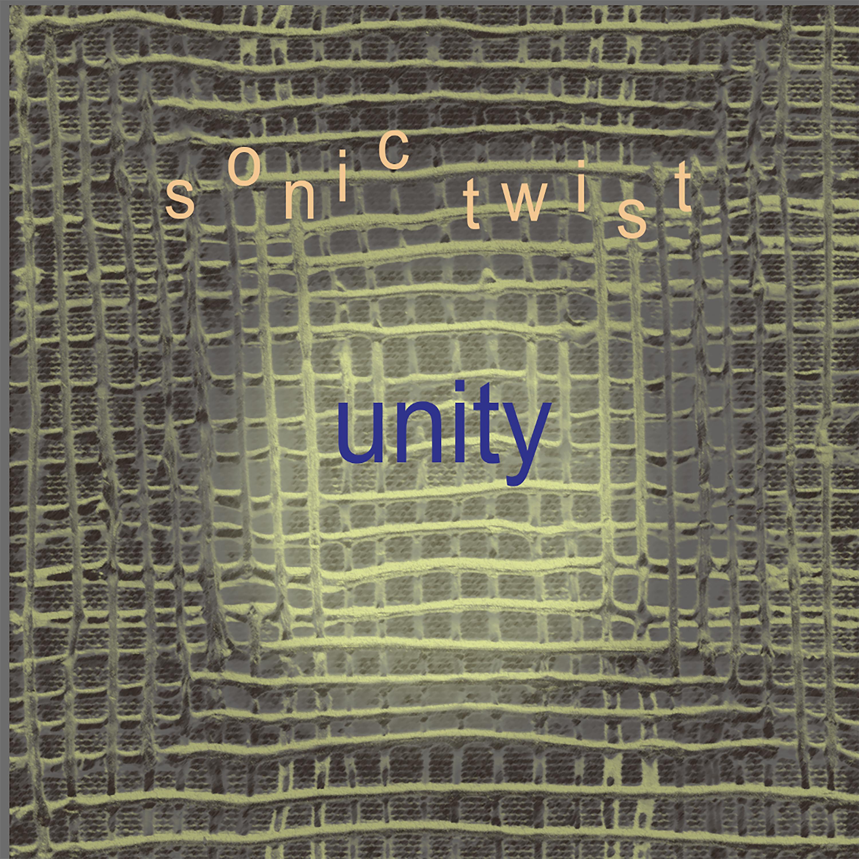 Постер альбома Unity