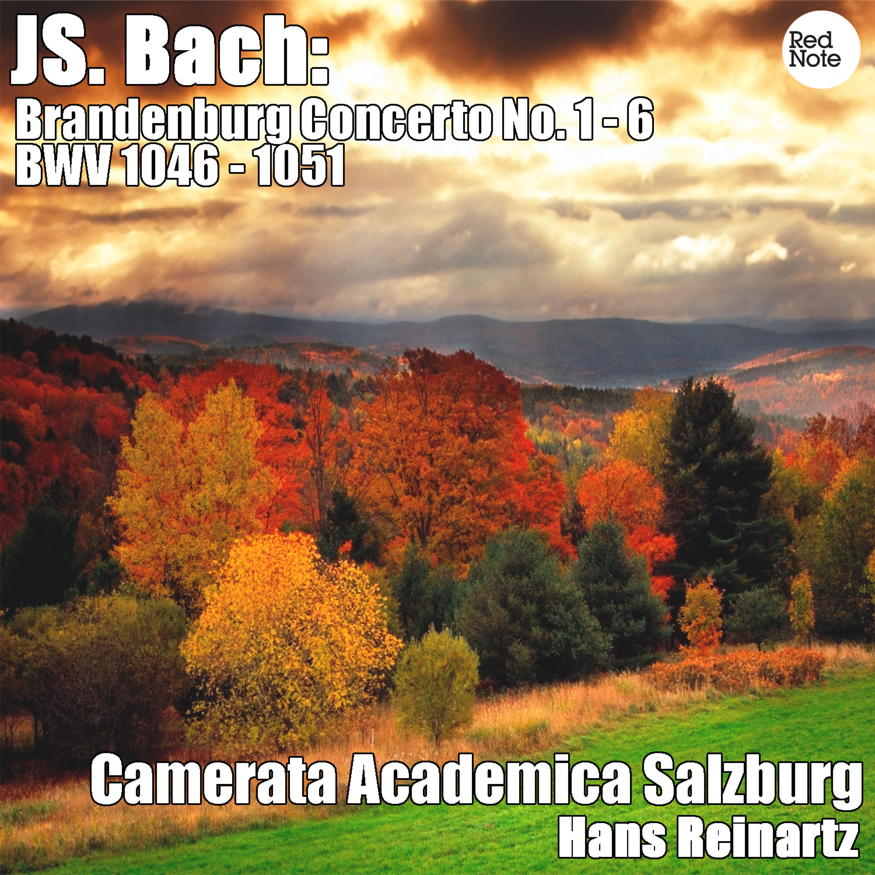 Постер альбома Bach: Brandenburg Concerto No. 1 - 6 BWV 1046 - 1051
