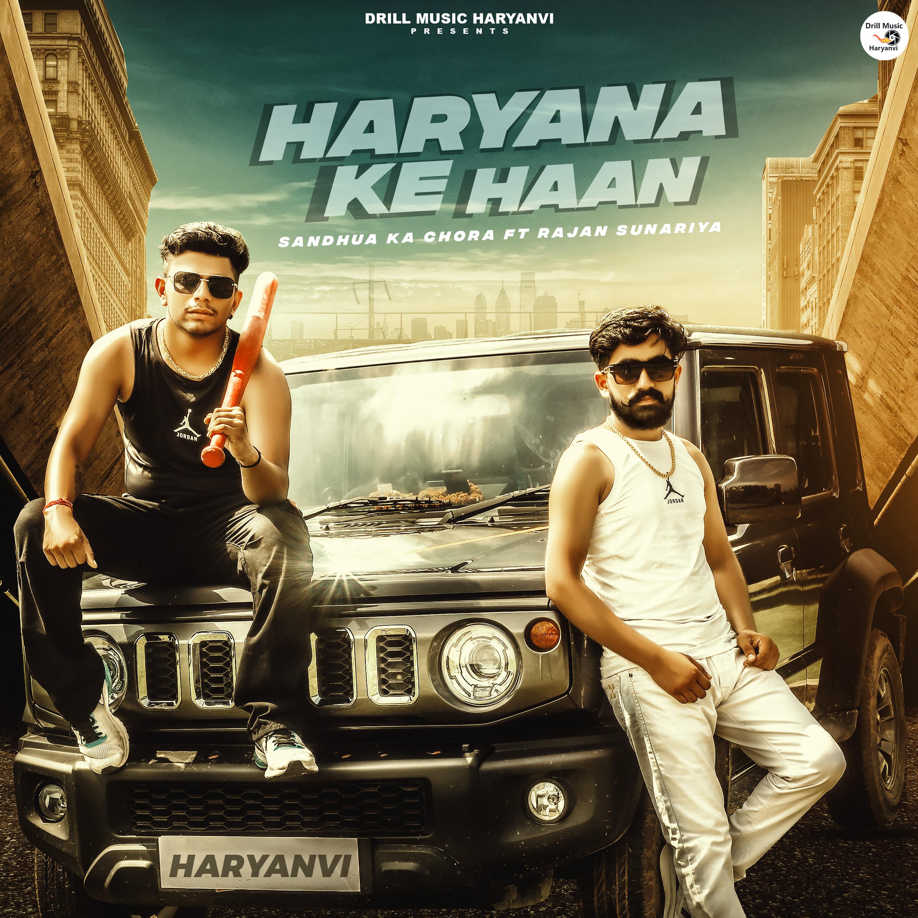 Постер альбома Haryana Ke Haan (Slow & Reverb)