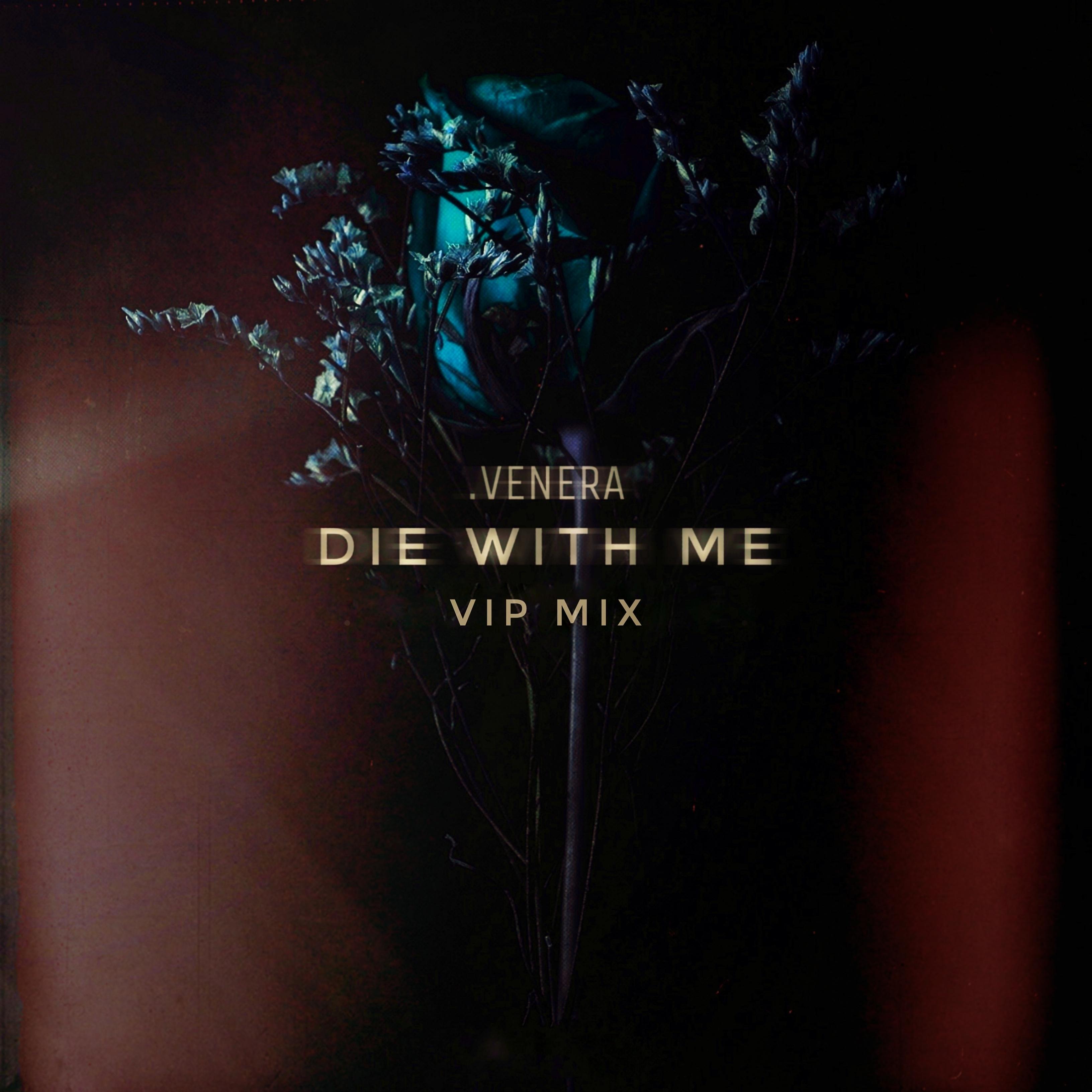 Постер альбома Die with Me