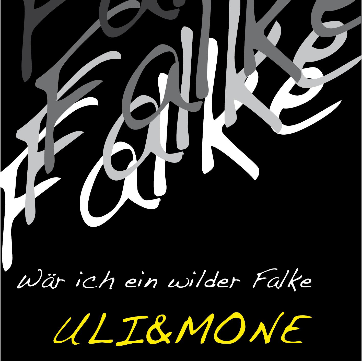 Постер альбома Wär ich ein wilder Falke