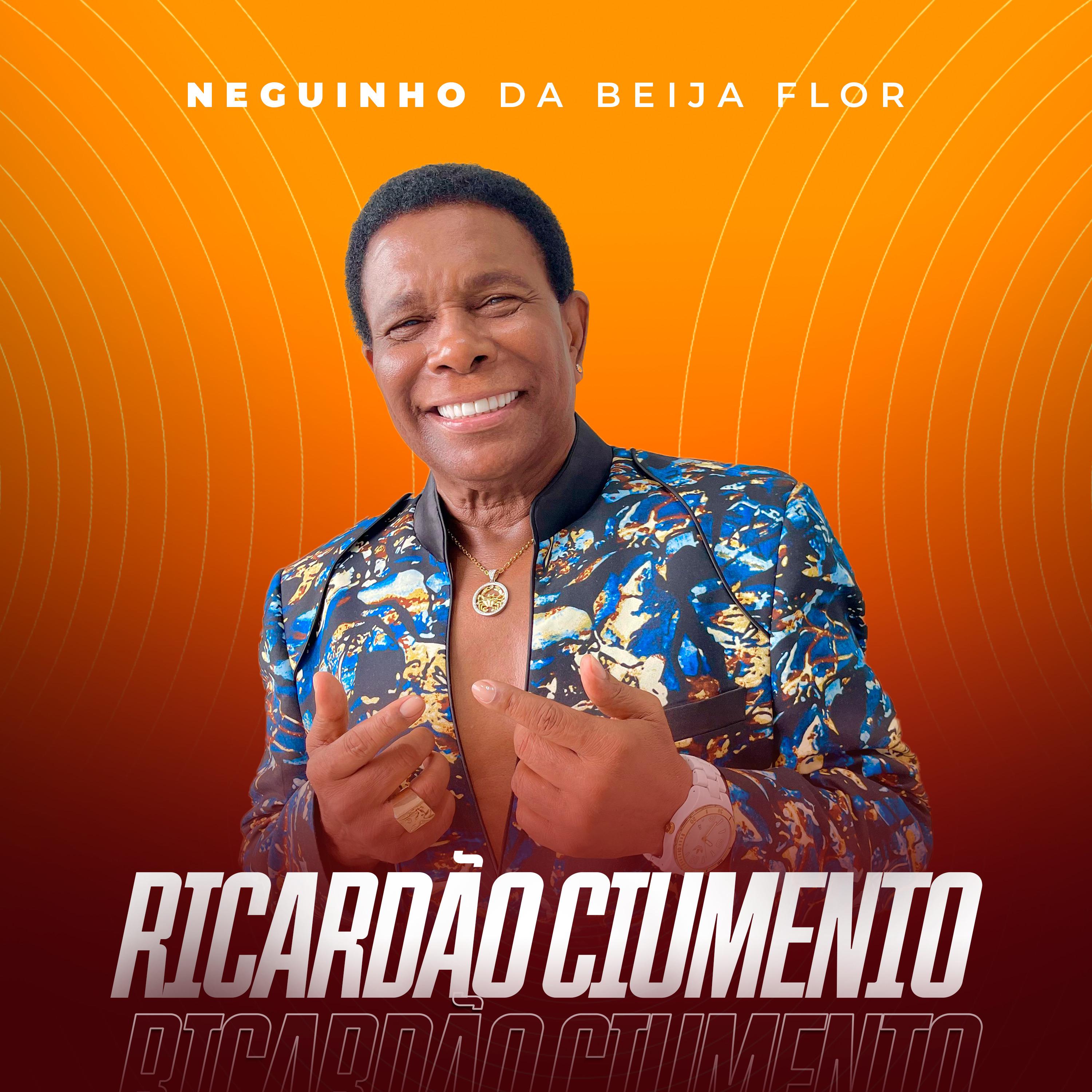 Постер альбома Ricardão Ciumento