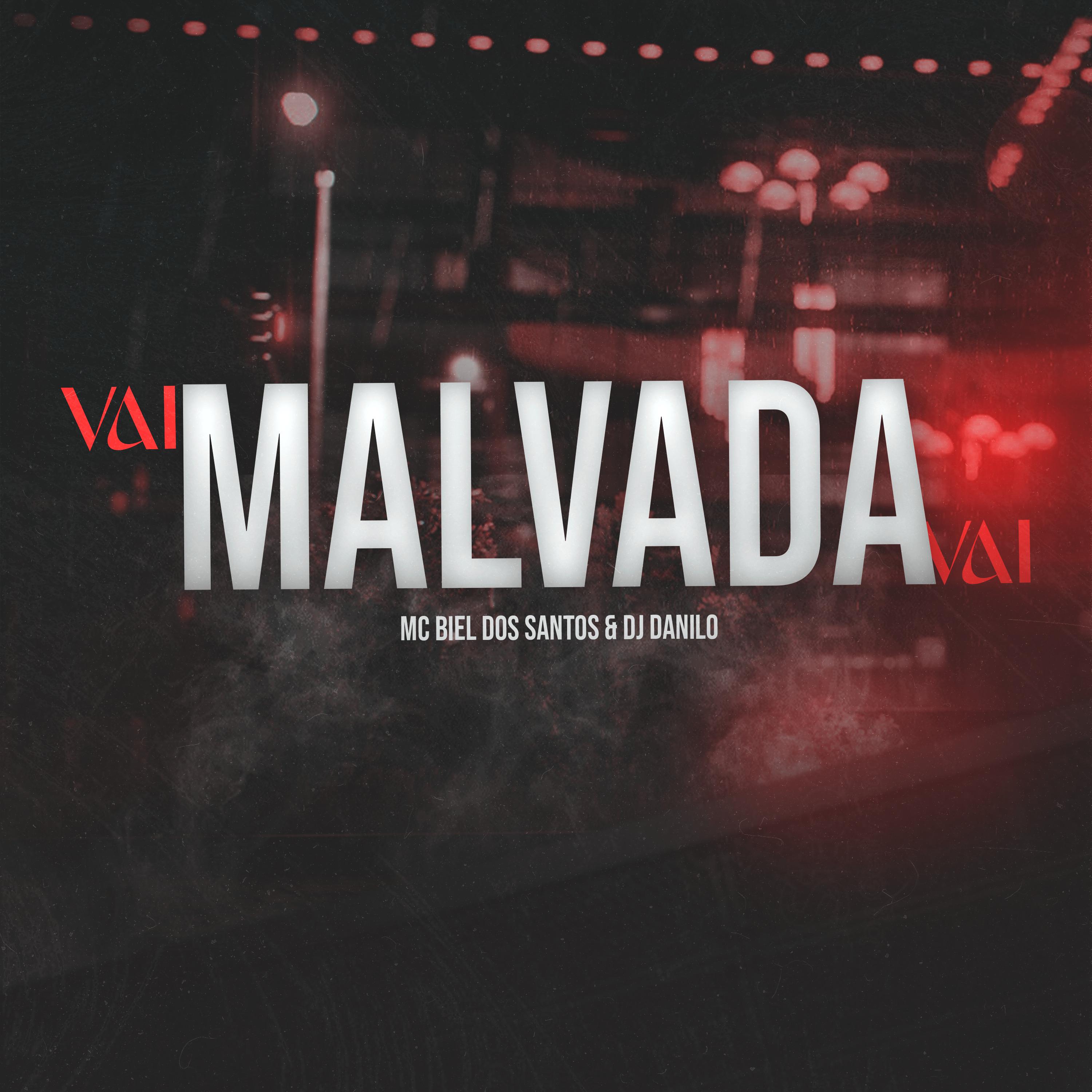 Постер альбома Vai Malvada Vai