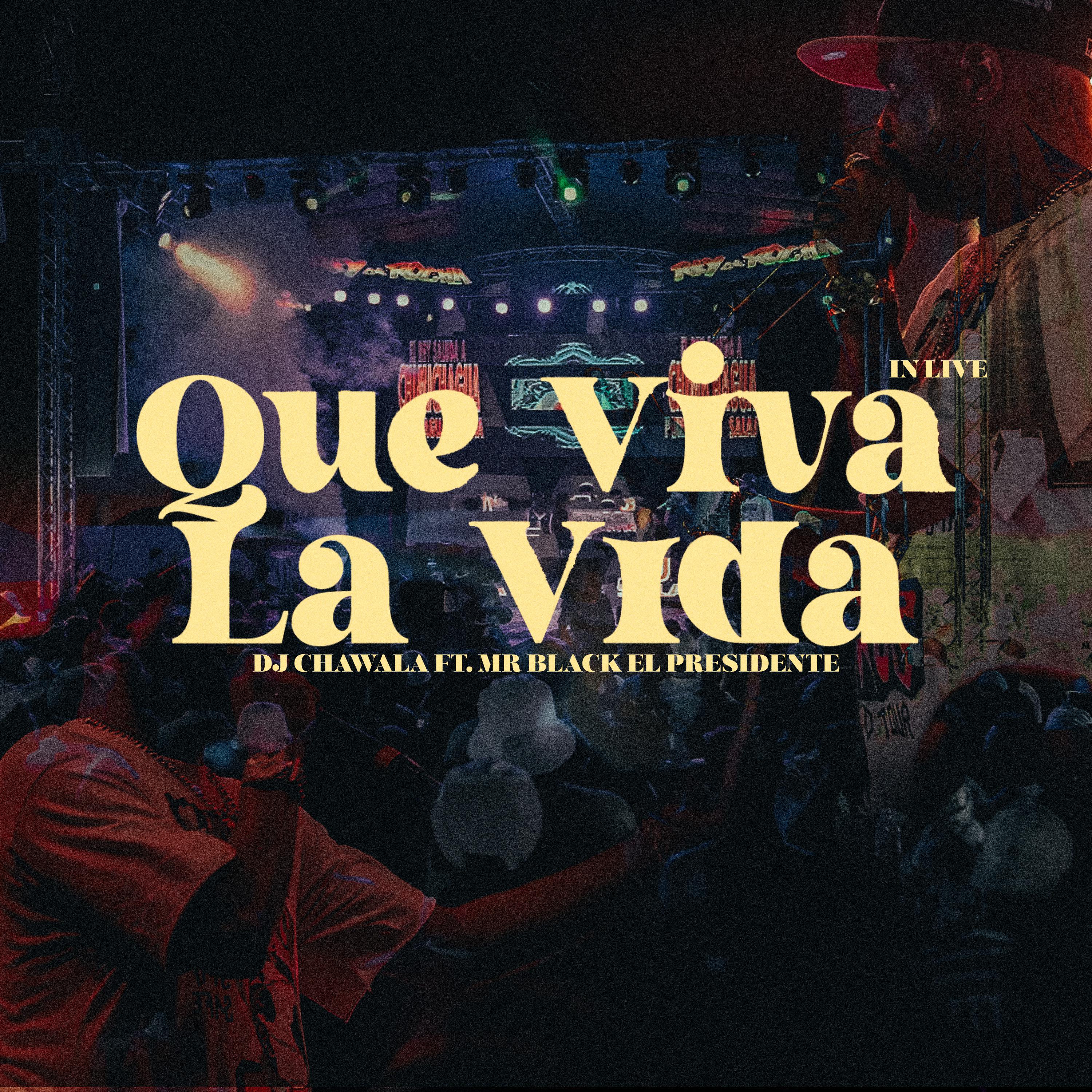 Постер альбома Que Viva La Vida