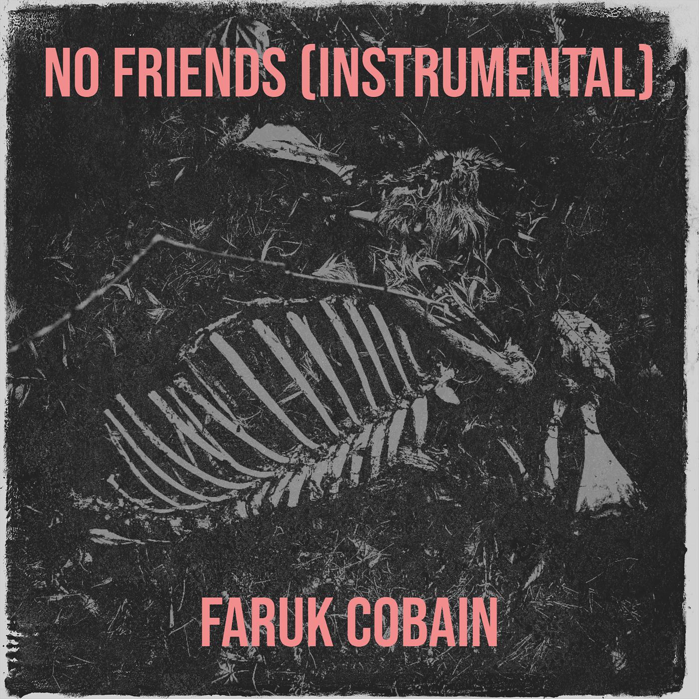 Постер альбома No Friends (Instrumental)