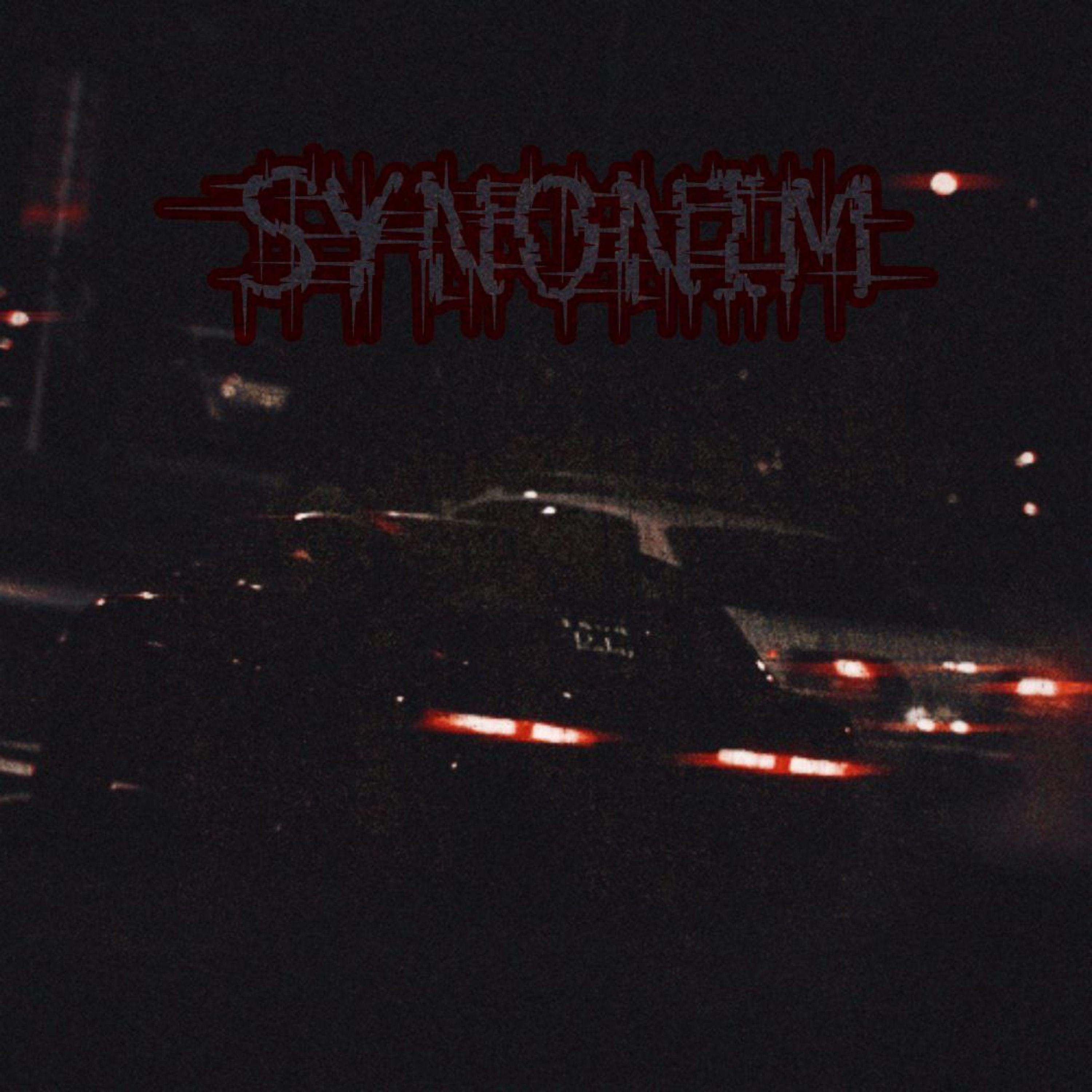 Постер альбома SYNONIM