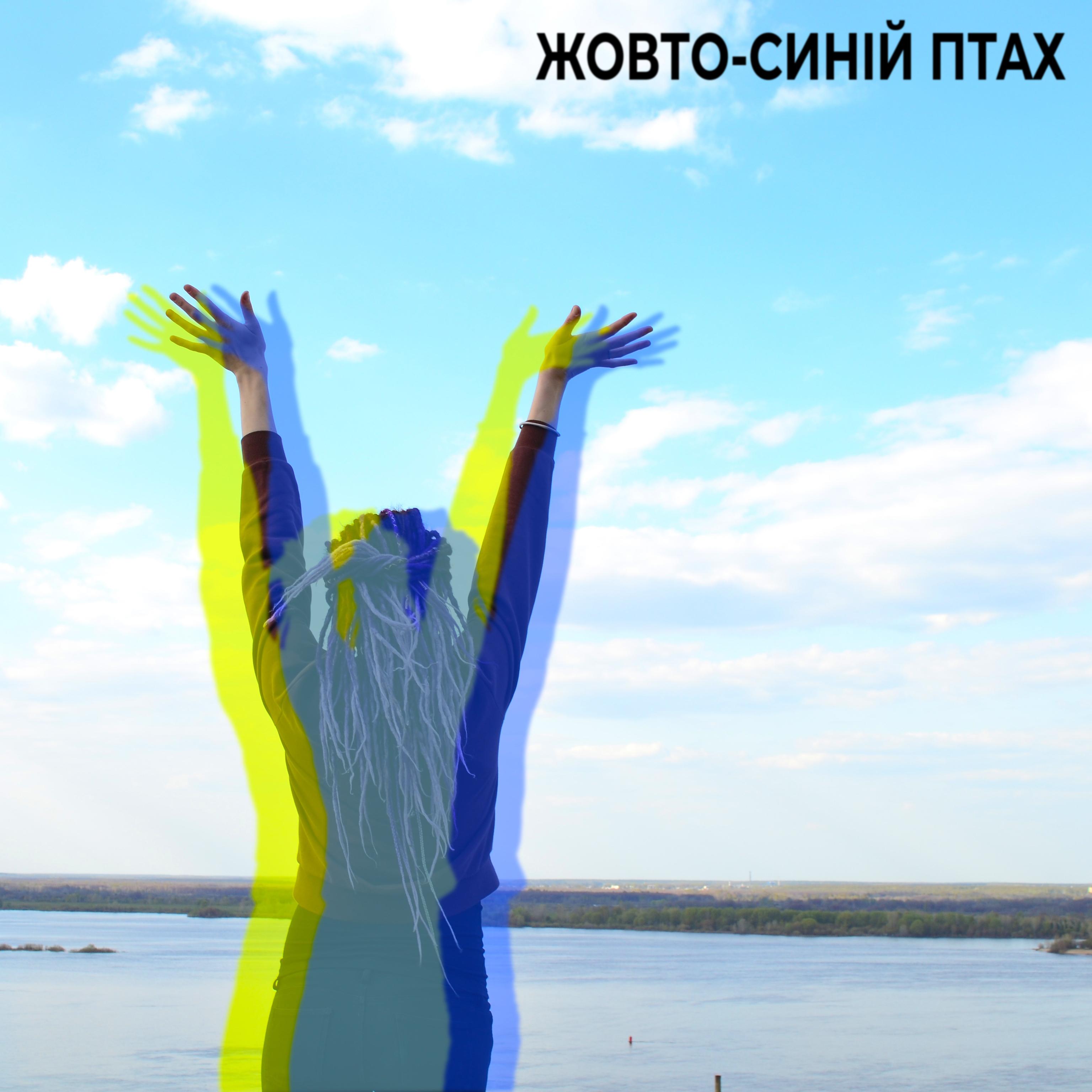 Постер альбома Жовто-синій птах