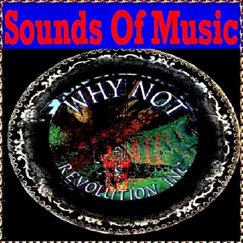 Постер альбома Sounds of Music  Presents Why Not : Revolution Inc.