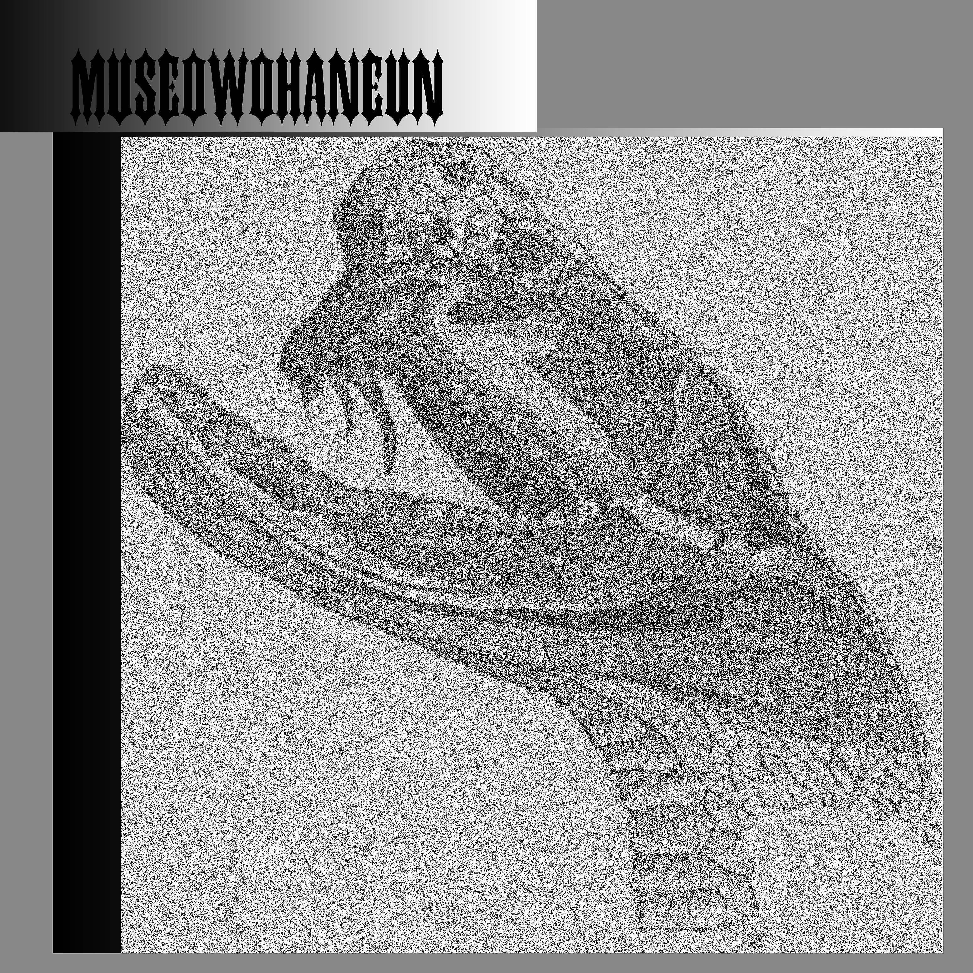Постер альбома Museowohaneun