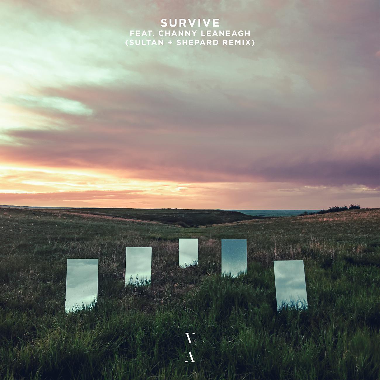 Постер альбома Survive (Sultan + Shepard Remix)