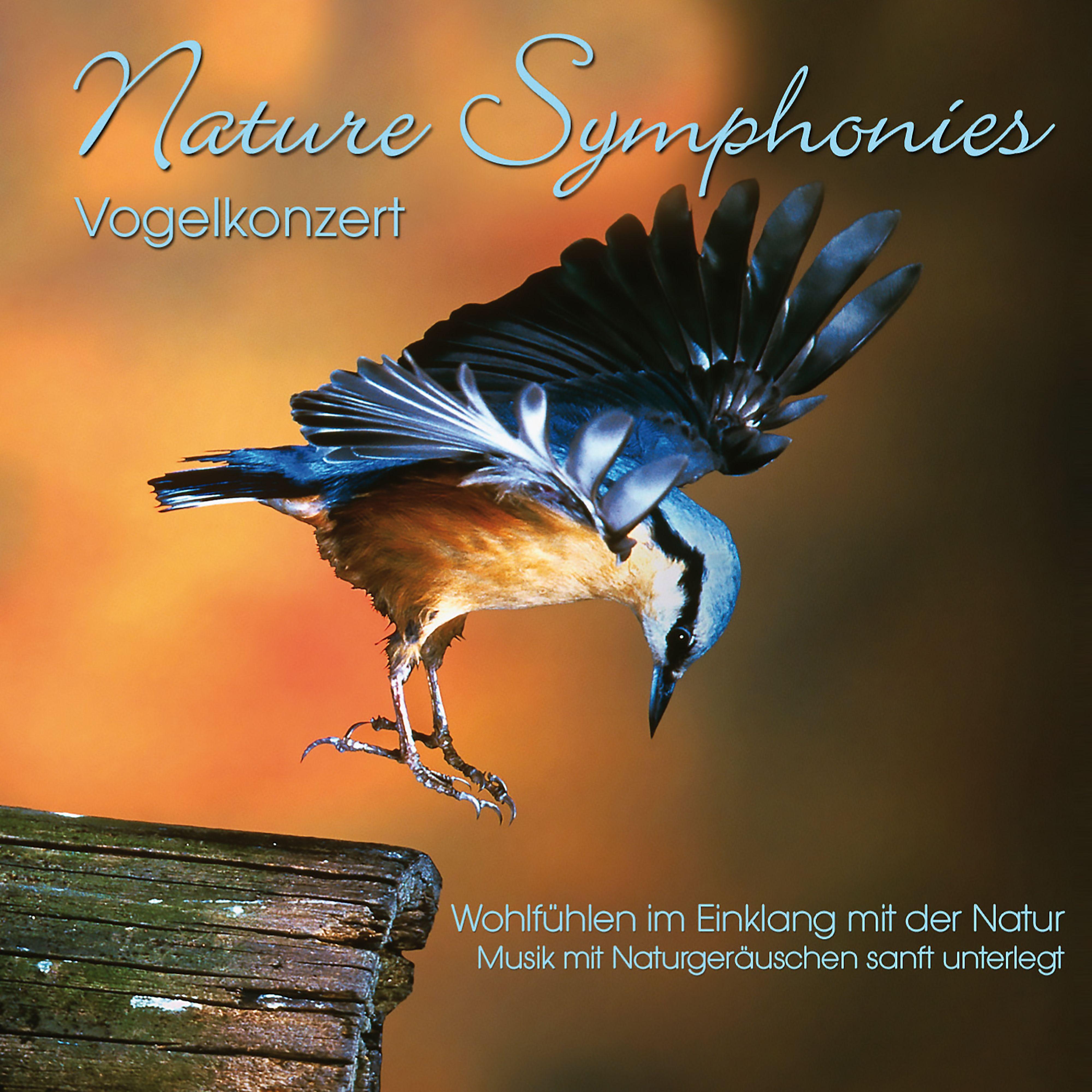 Постер альбома Nature Symphonies: Vogelkonzert