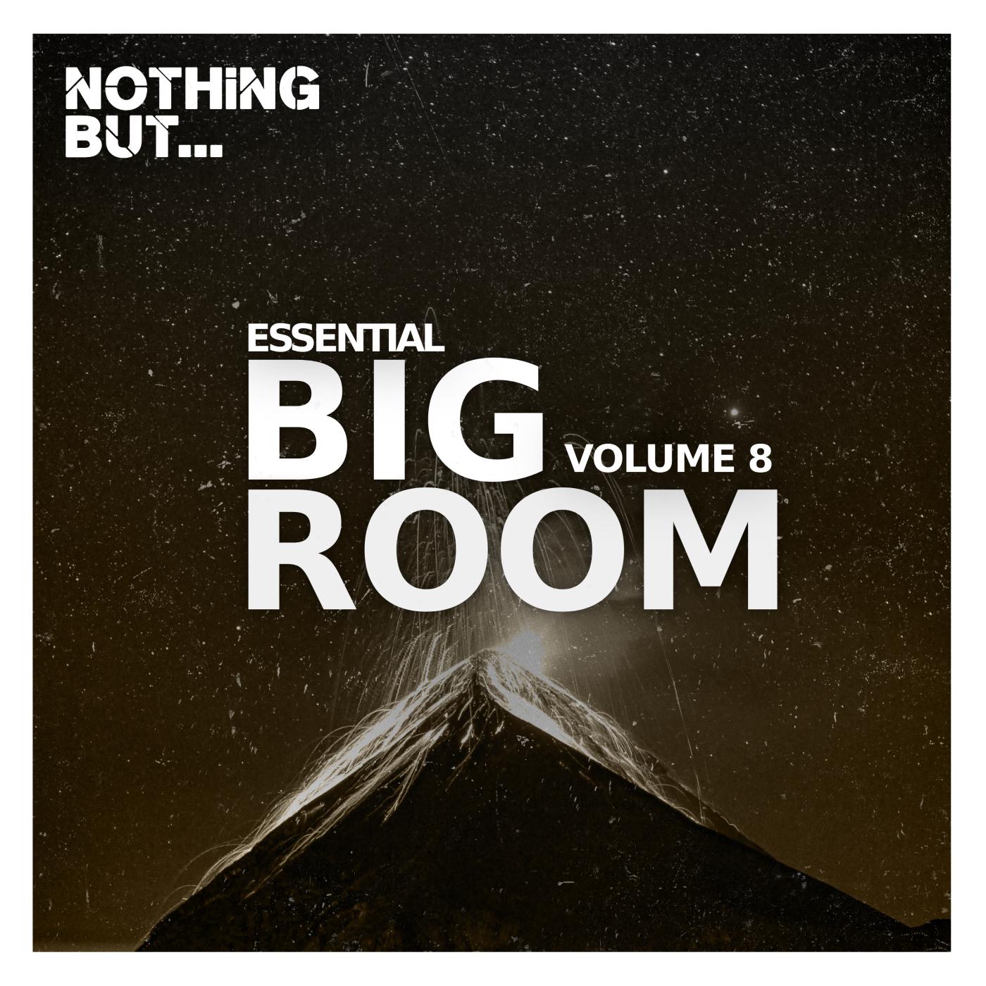 Постер альбома Nothing But... Essential Big Room, Vol. 08