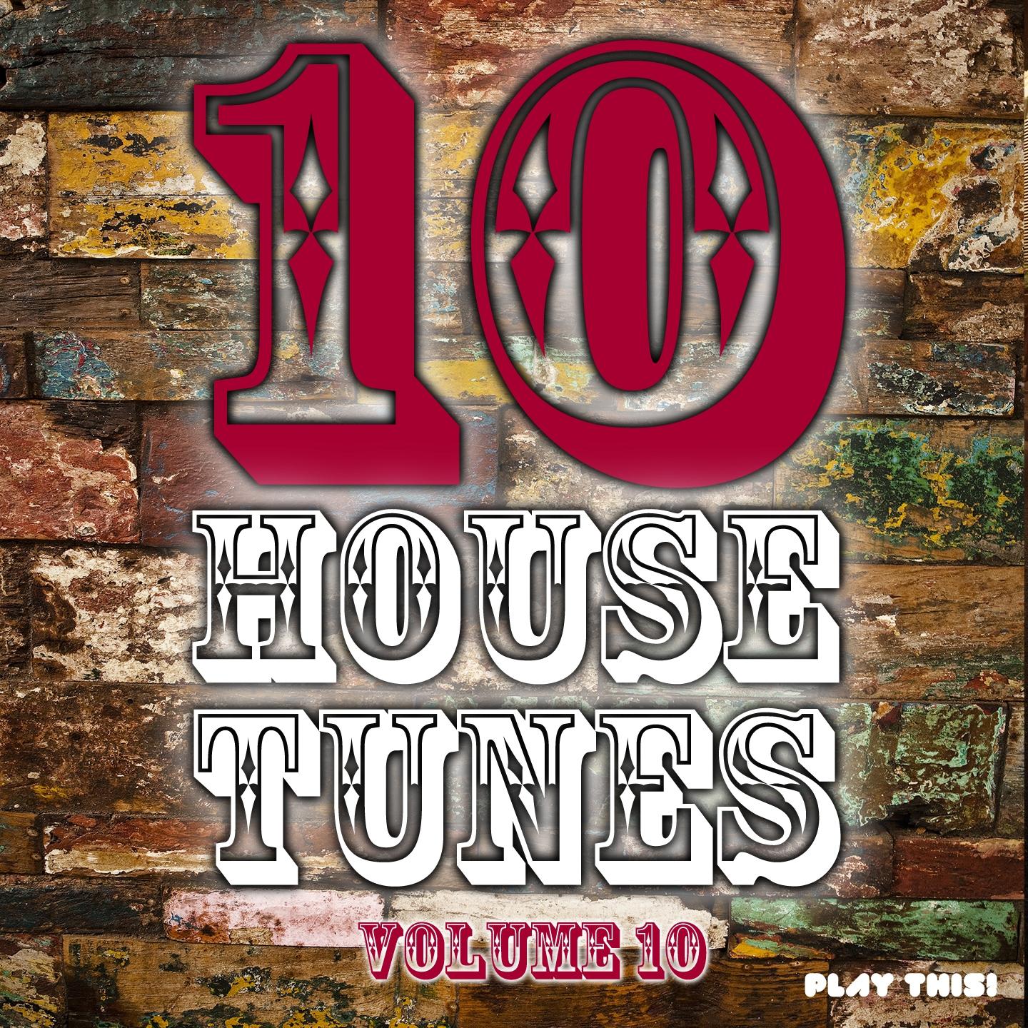 Постер альбома 10 House Tunes, Vol. 10
