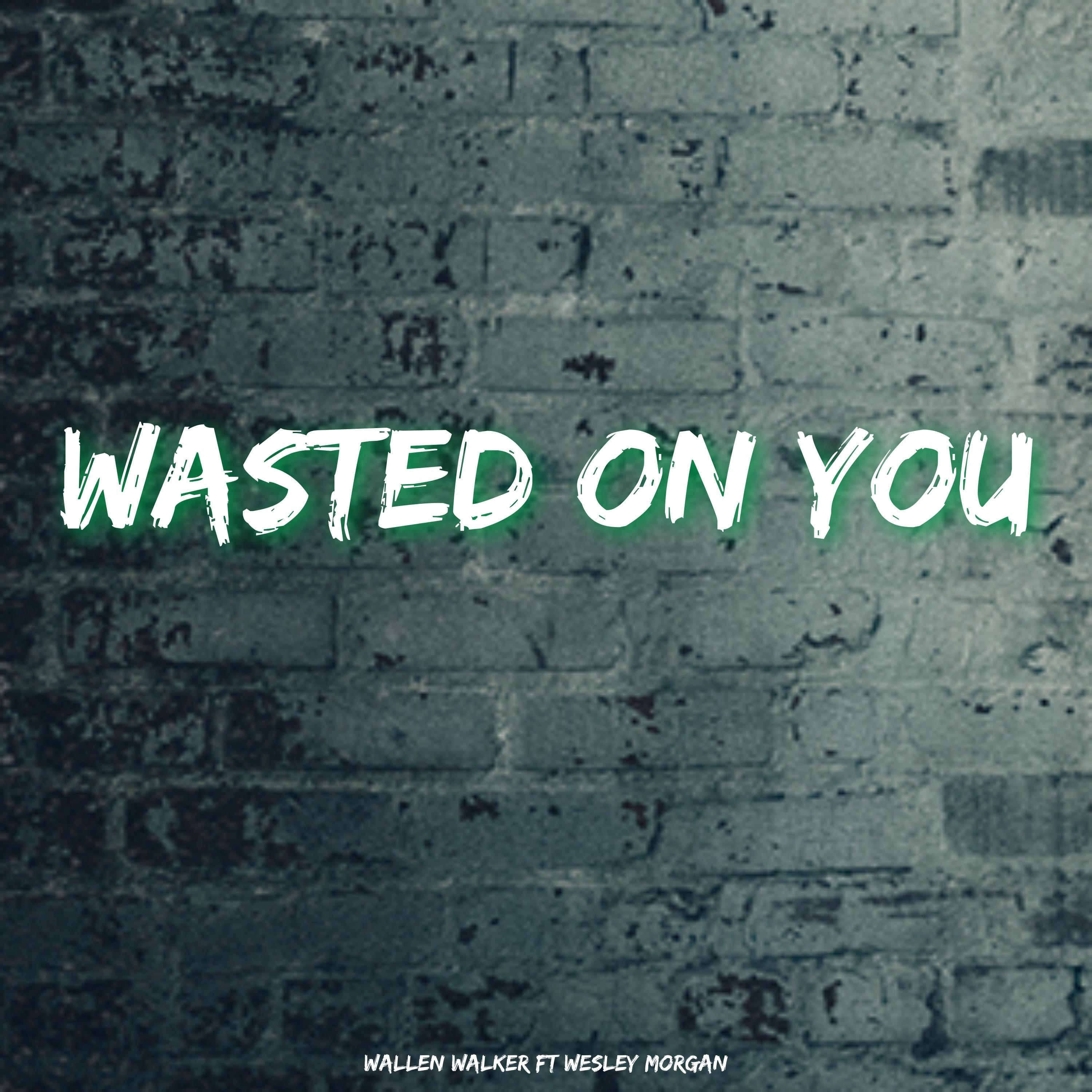 Постер альбома Wasted On You (feat. Wesley Morgan)