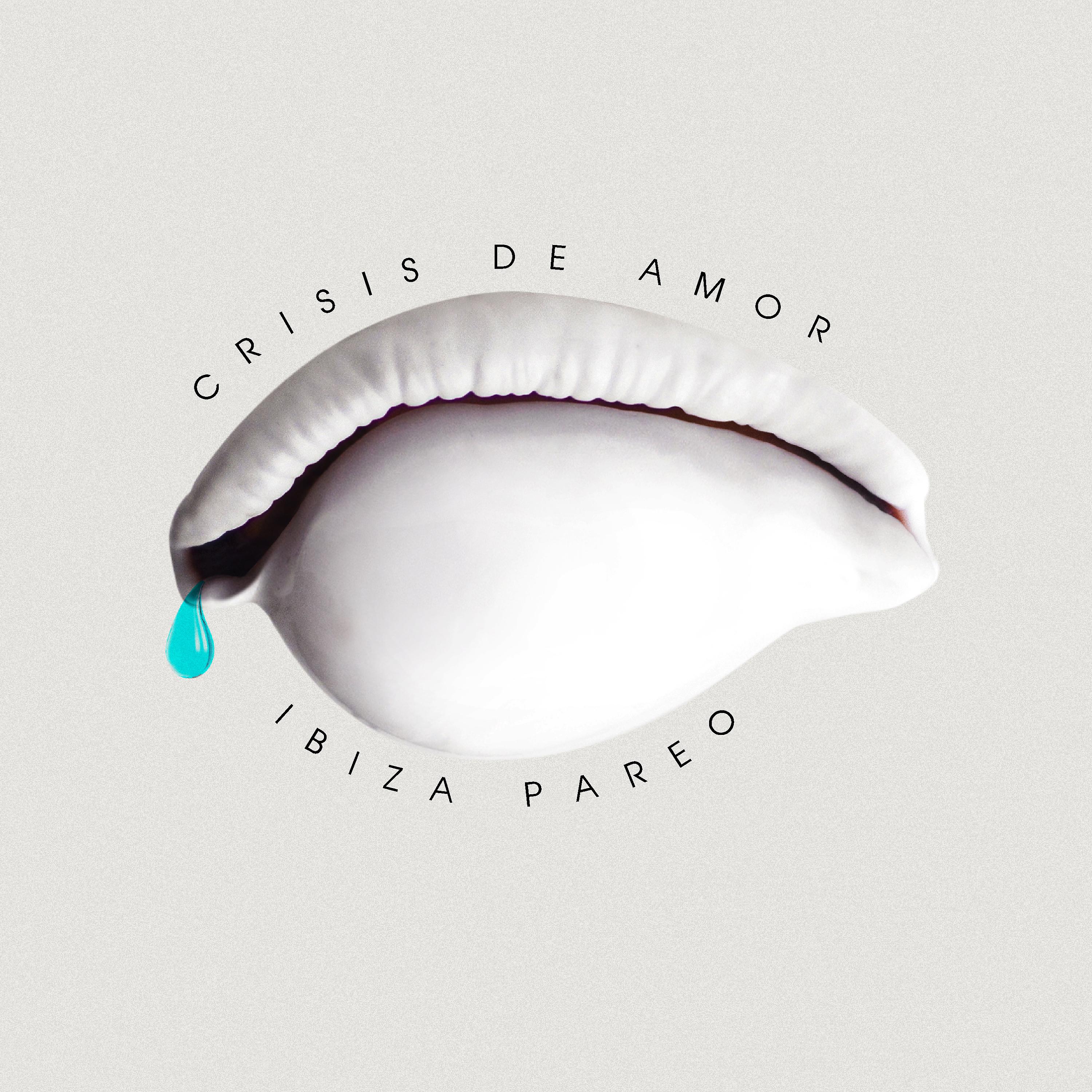 Постер альбома Crisis de Amor