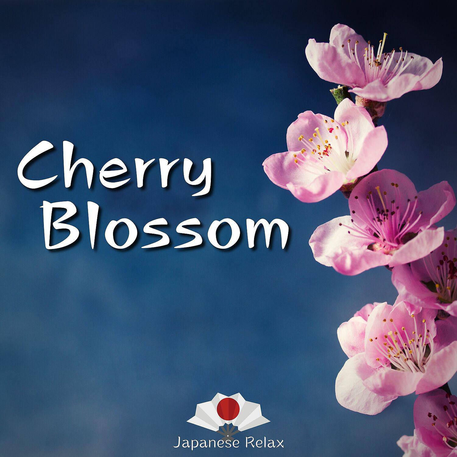 Постер альбома Cherry Blossom