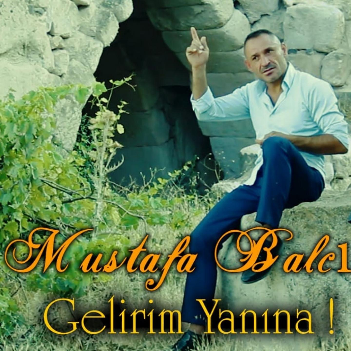 Постер альбома Gelirim Yanına