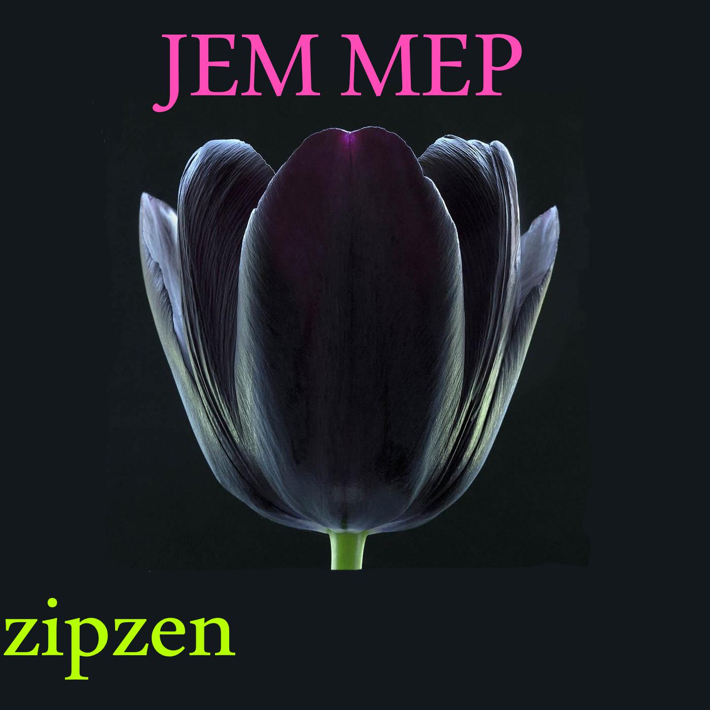 Постер альбома Jem Mep