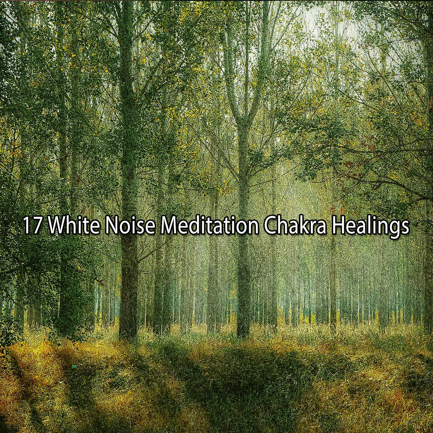 Постер альбома 17 исцелений чакр медитацией белого шума