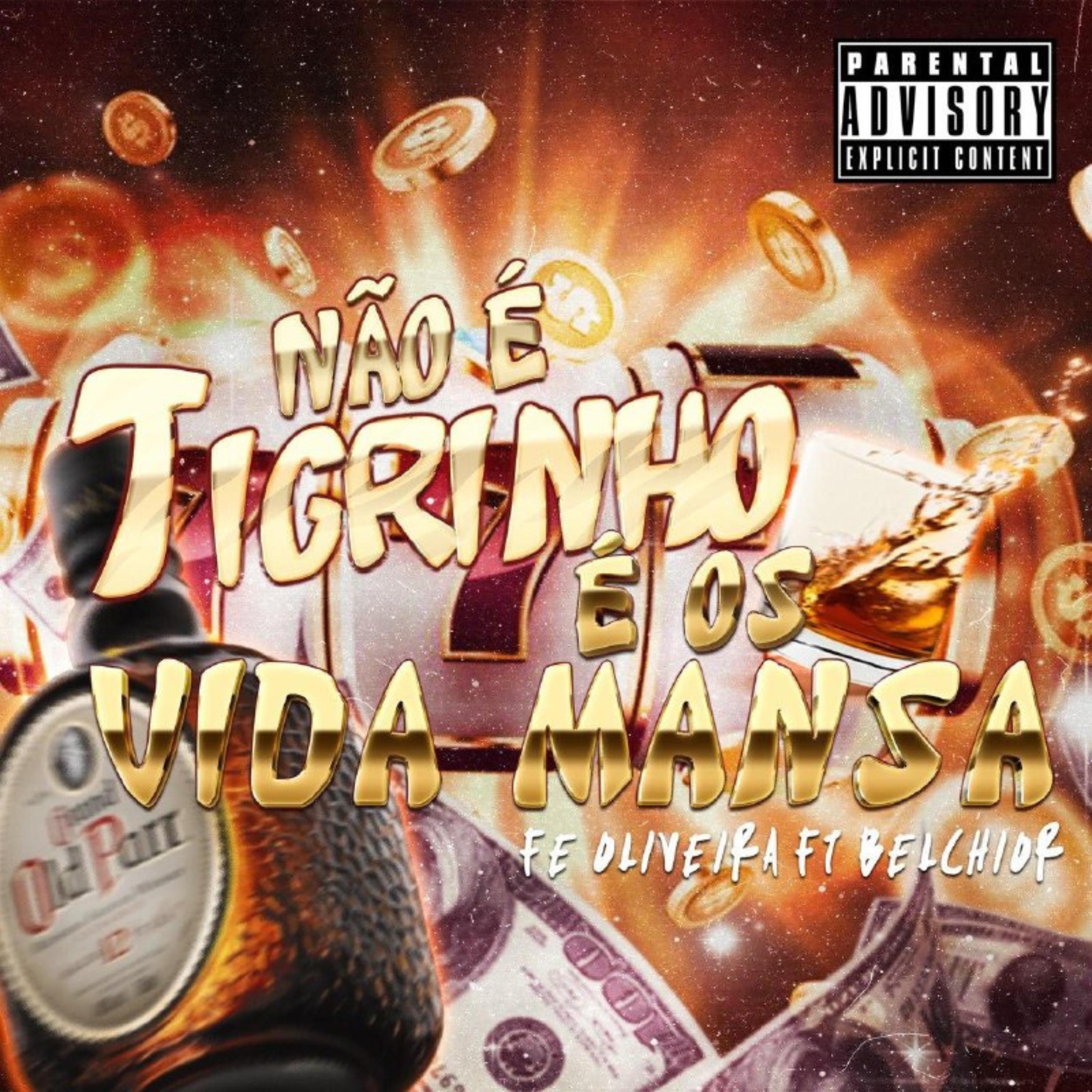 Постер альбома Não É Tigrinho | Vida Mansa
