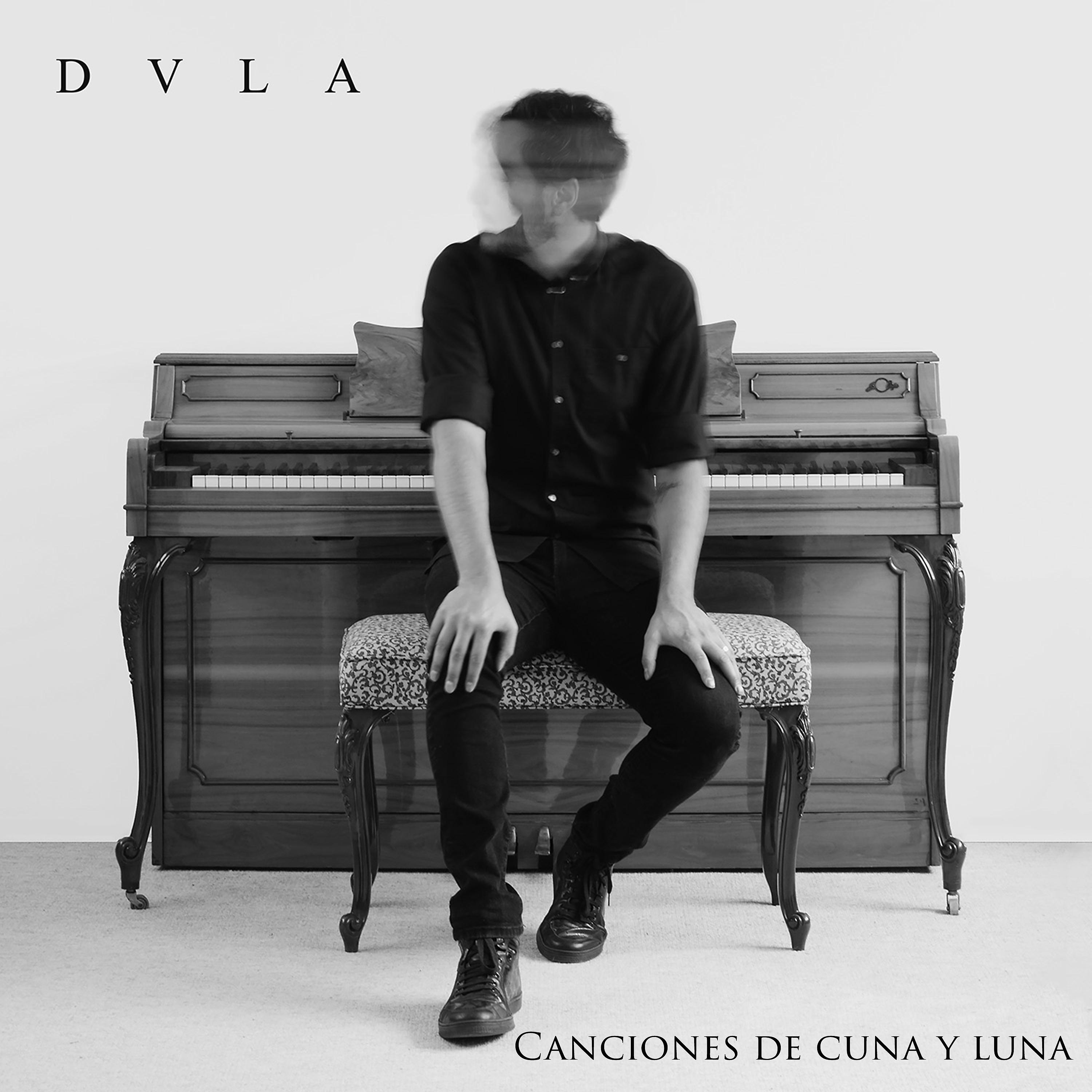 Постер альбома Canciones de Cuna y Luna