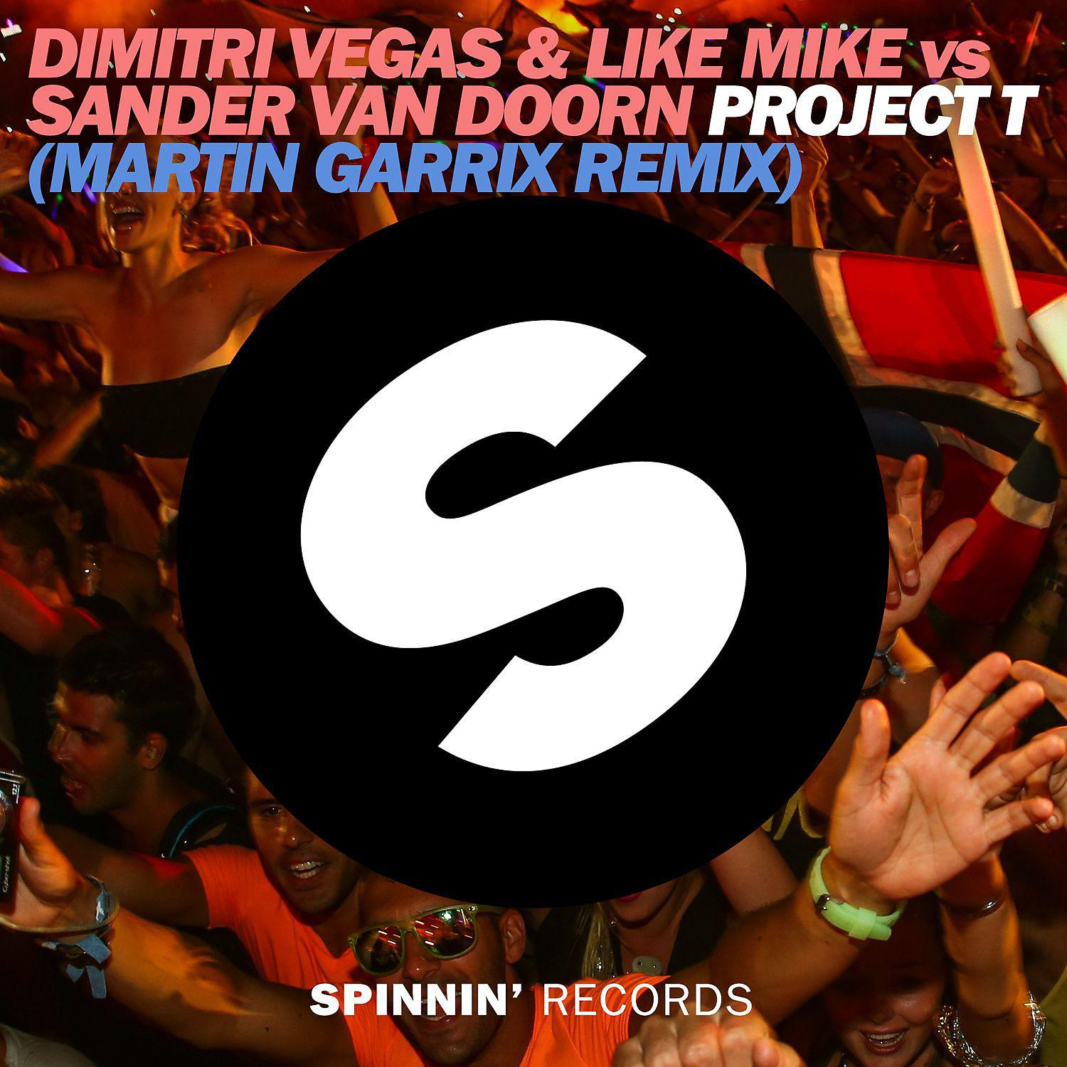 Постер альбома Project T (Martin Garrix Remix)
