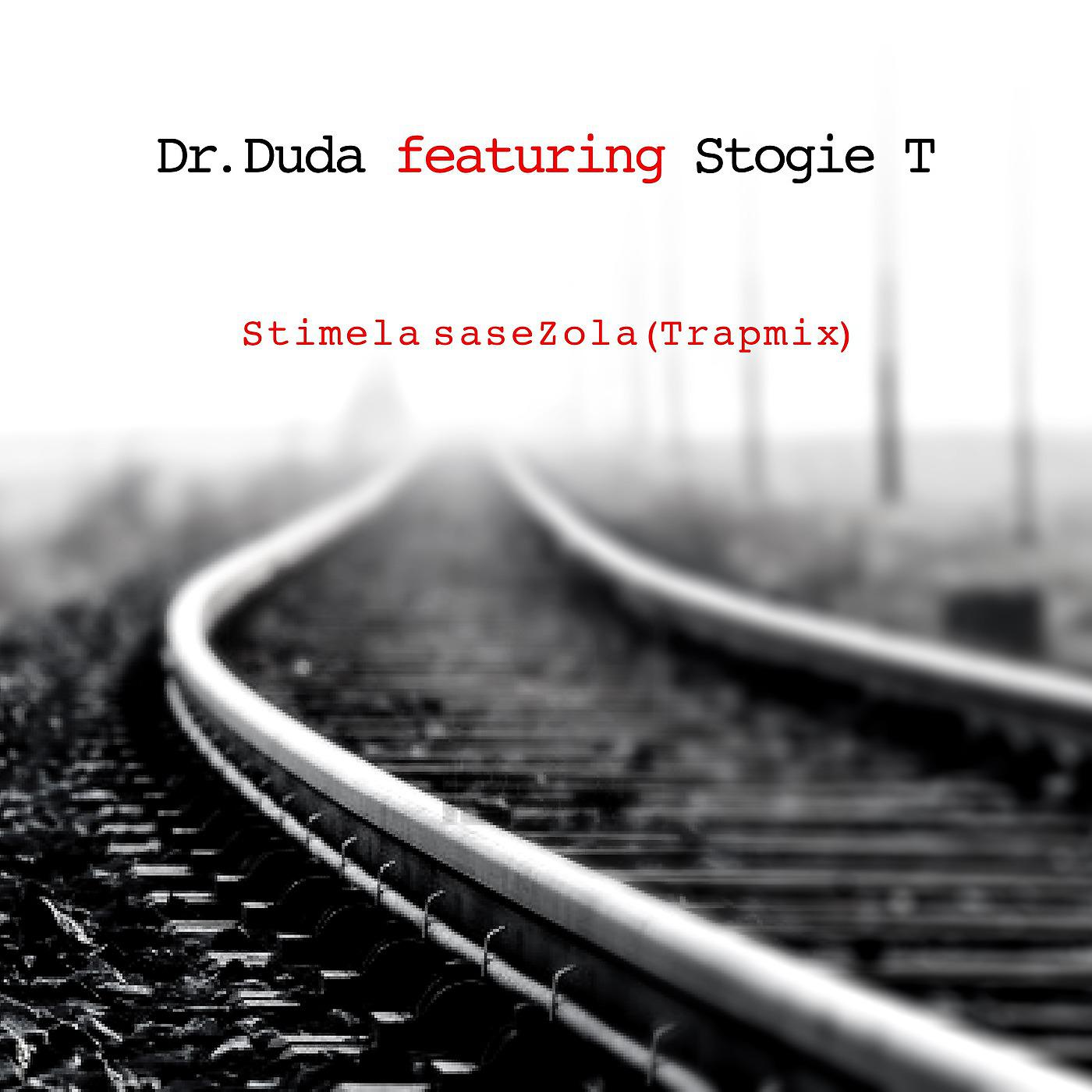 Постер альбома Stimela saseZola (Trapmix) [feat. Stogie T]