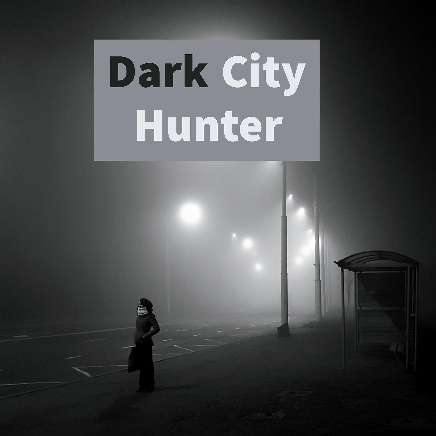 Постер альбома Dark City Hunter