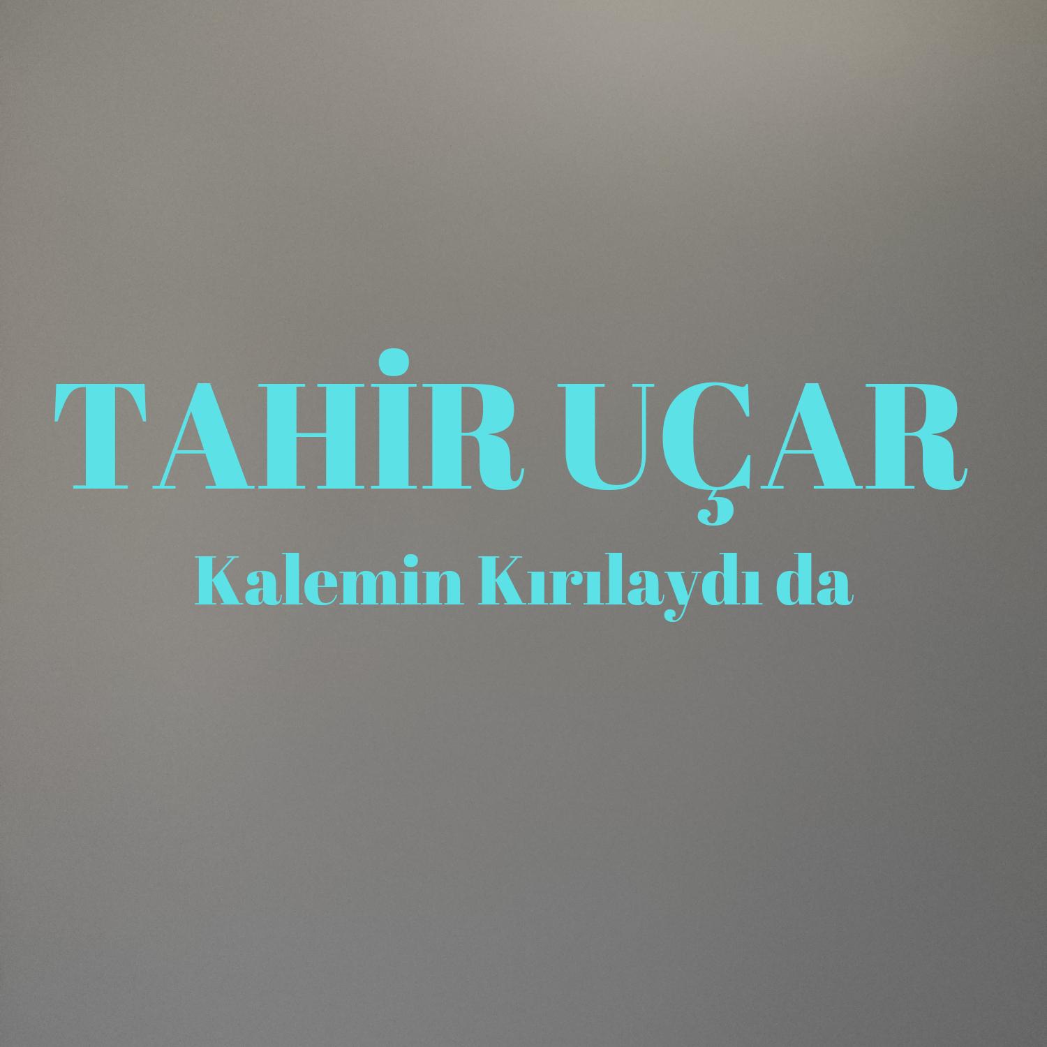 Постер альбома Kalemin Kırılaydıda