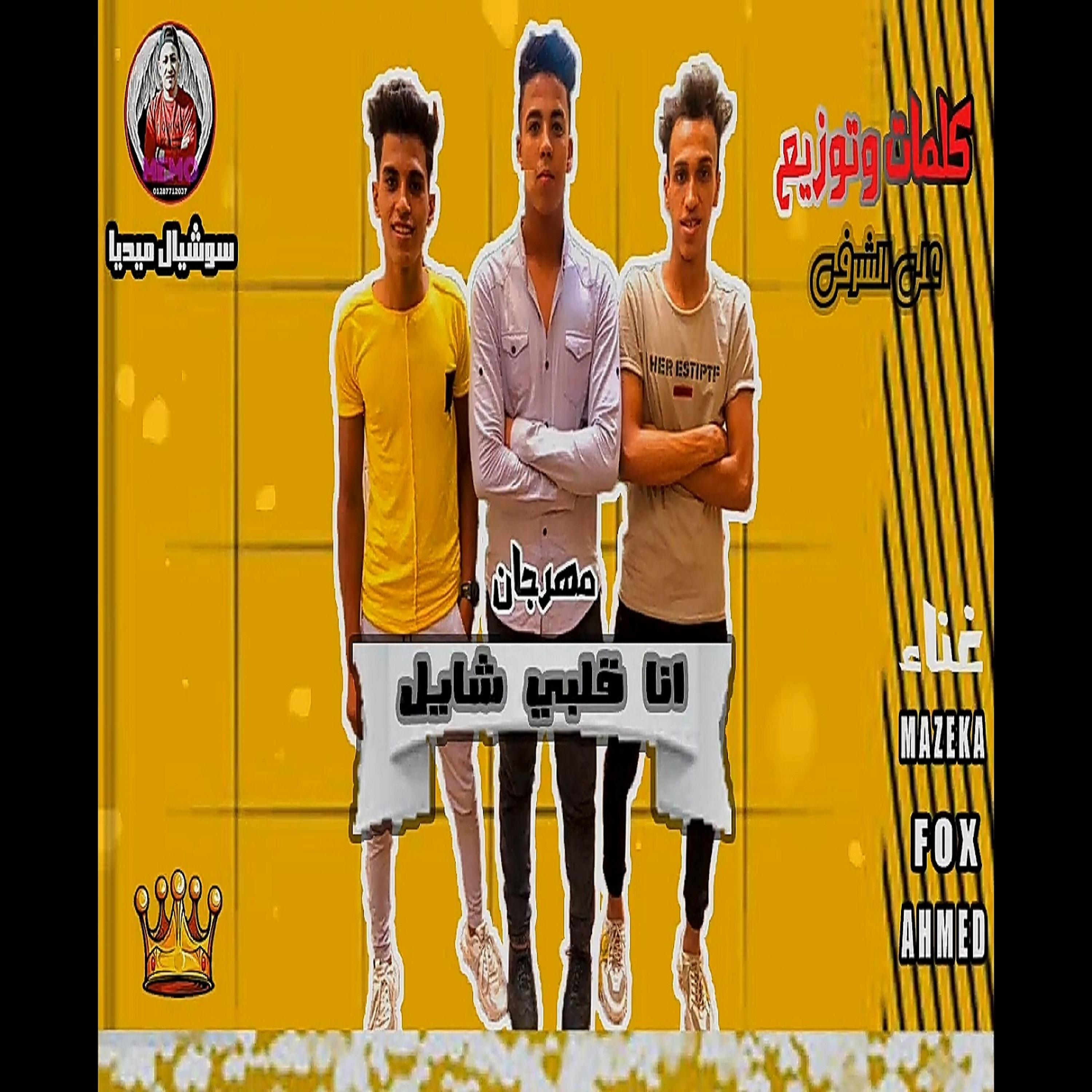 Постер альбома مهرجان انا قلبى شايل