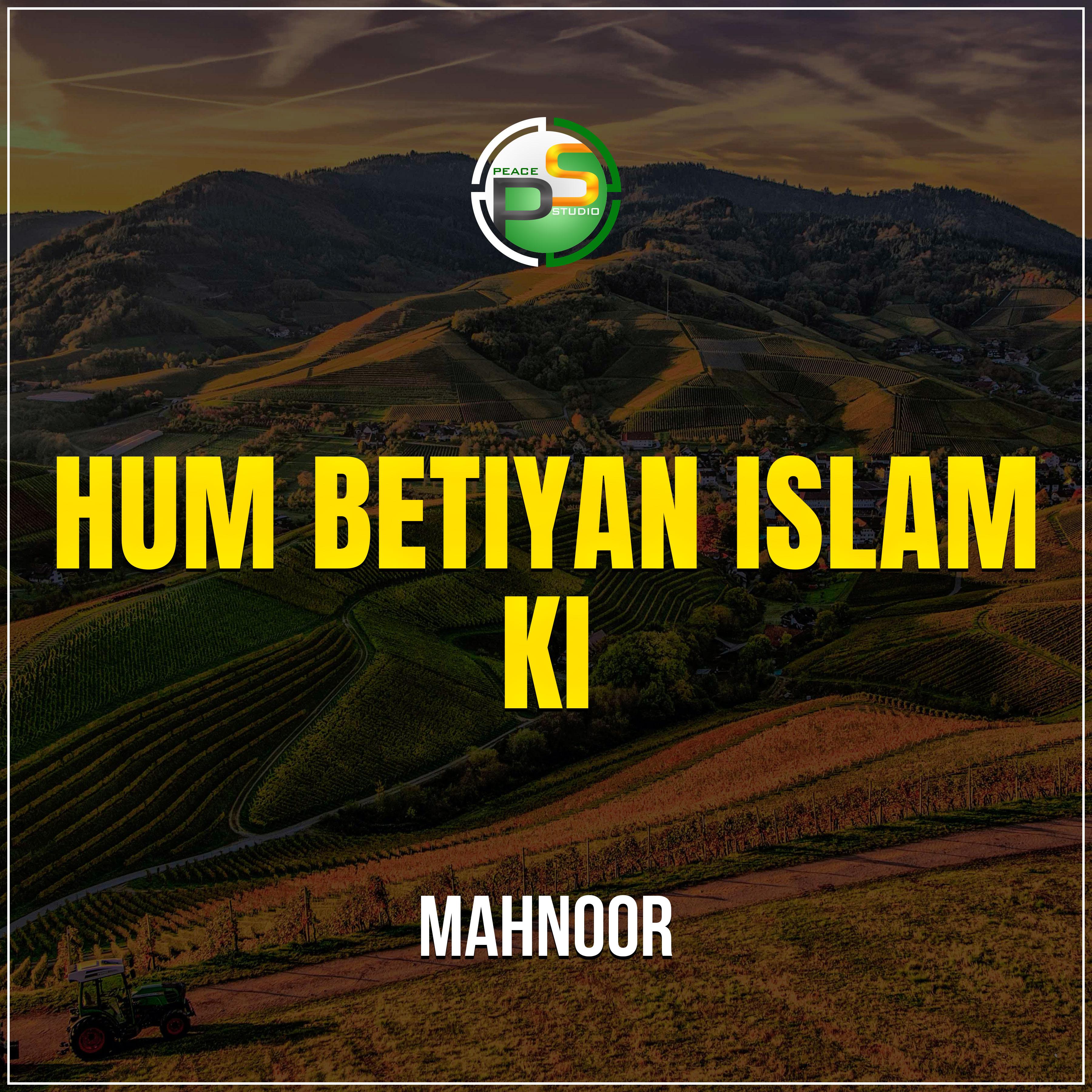 Постер альбома Hum Betiyan Islam Ki