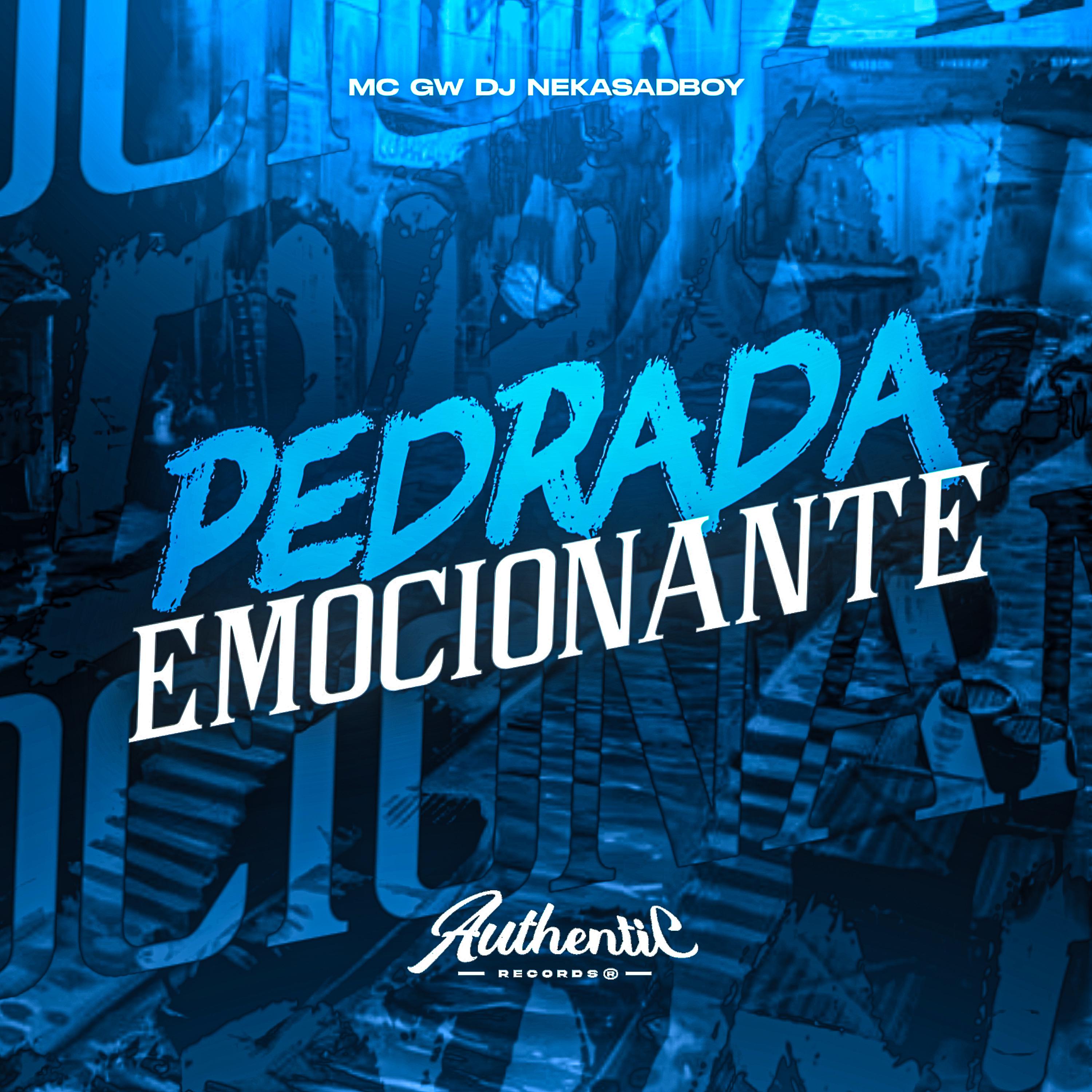 Постер альбома Pedrada Emocionante