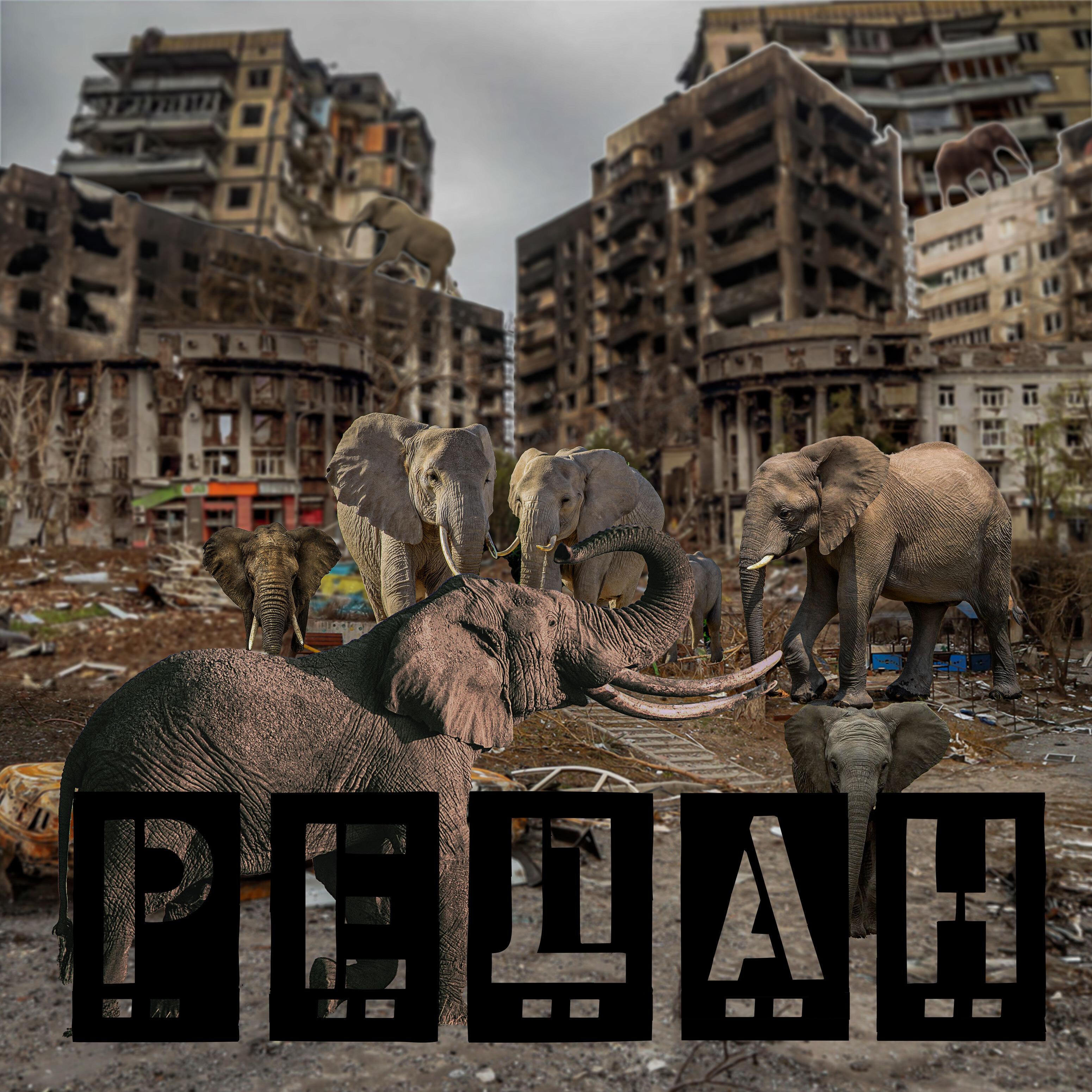 Постер альбома Лучшая работа для наших слонов