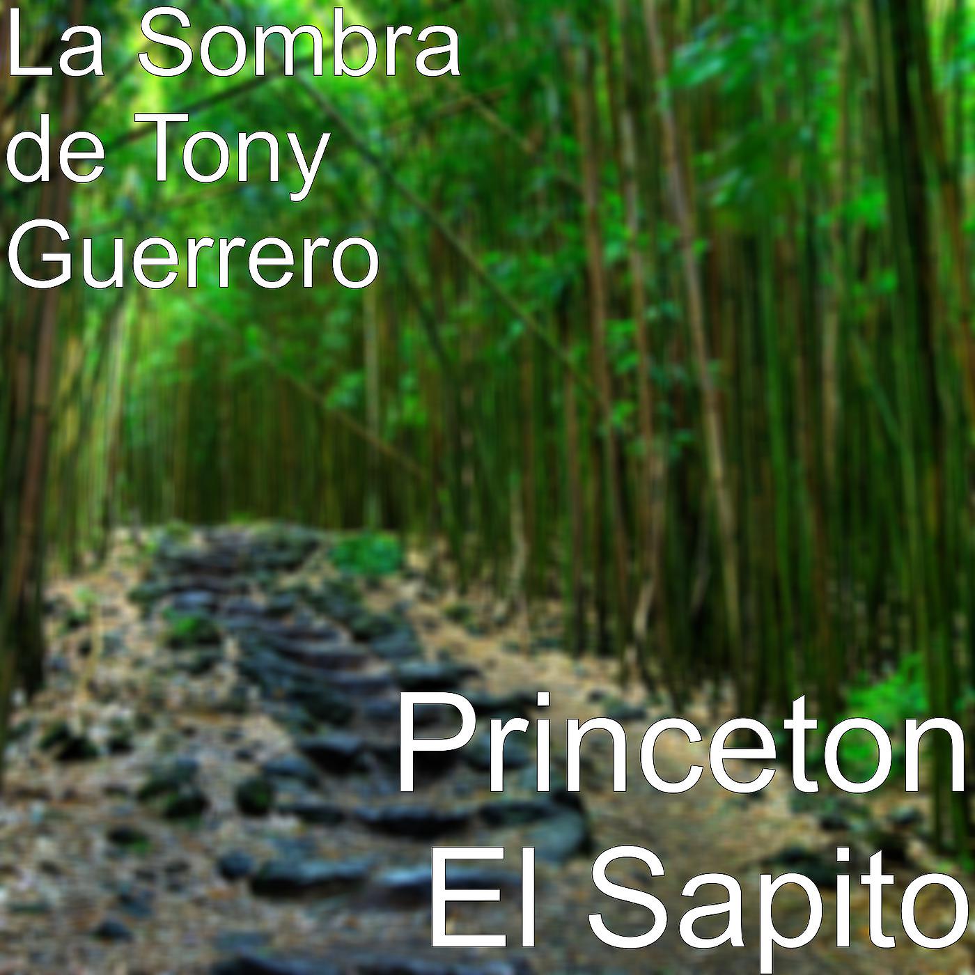 Постер альбома Princeton El Sapito