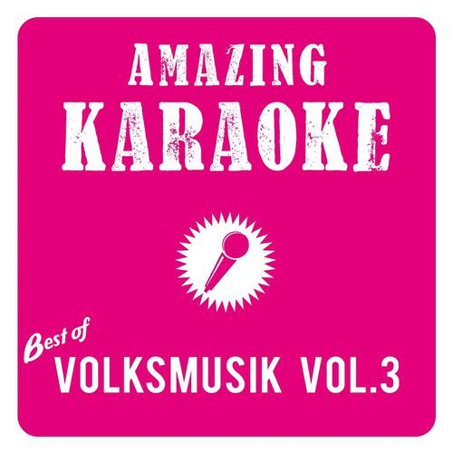 Постер альбома Best of Volksmusik, Vol. 3