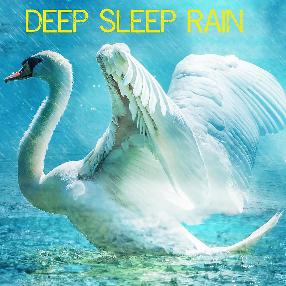 Постер альбома Deep Sleep Rain
