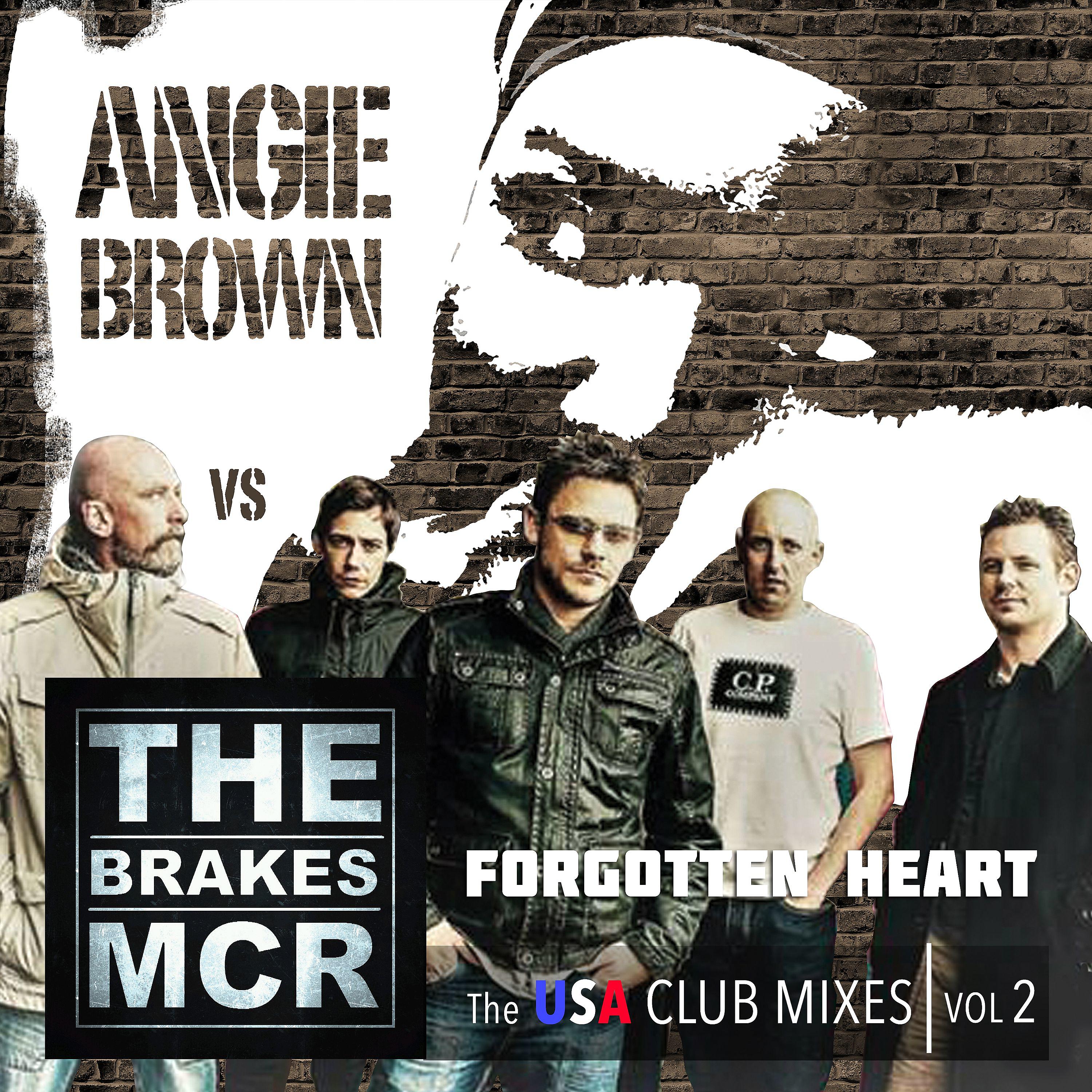 Постер альбома Forgotten Heart (Angie Brown vs. The Brakes) [The USA Club Mixes, Vol.2]