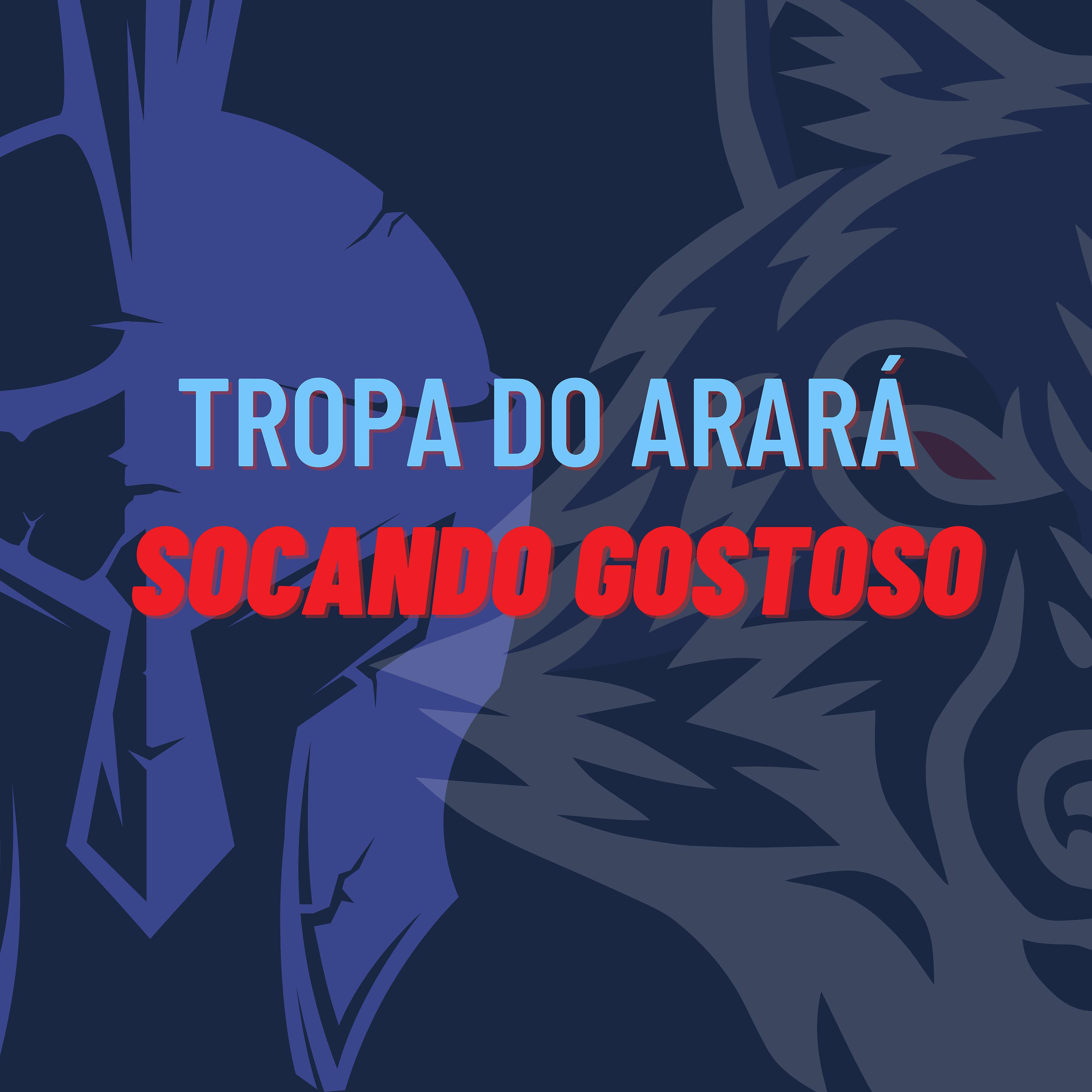 Постер альбома Tropa do Arará Socando Gostoso