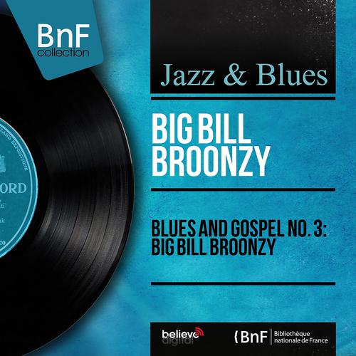 Постер альбома Blues and Gospel No. 3: Big Bill Broonzy (Mono Version)